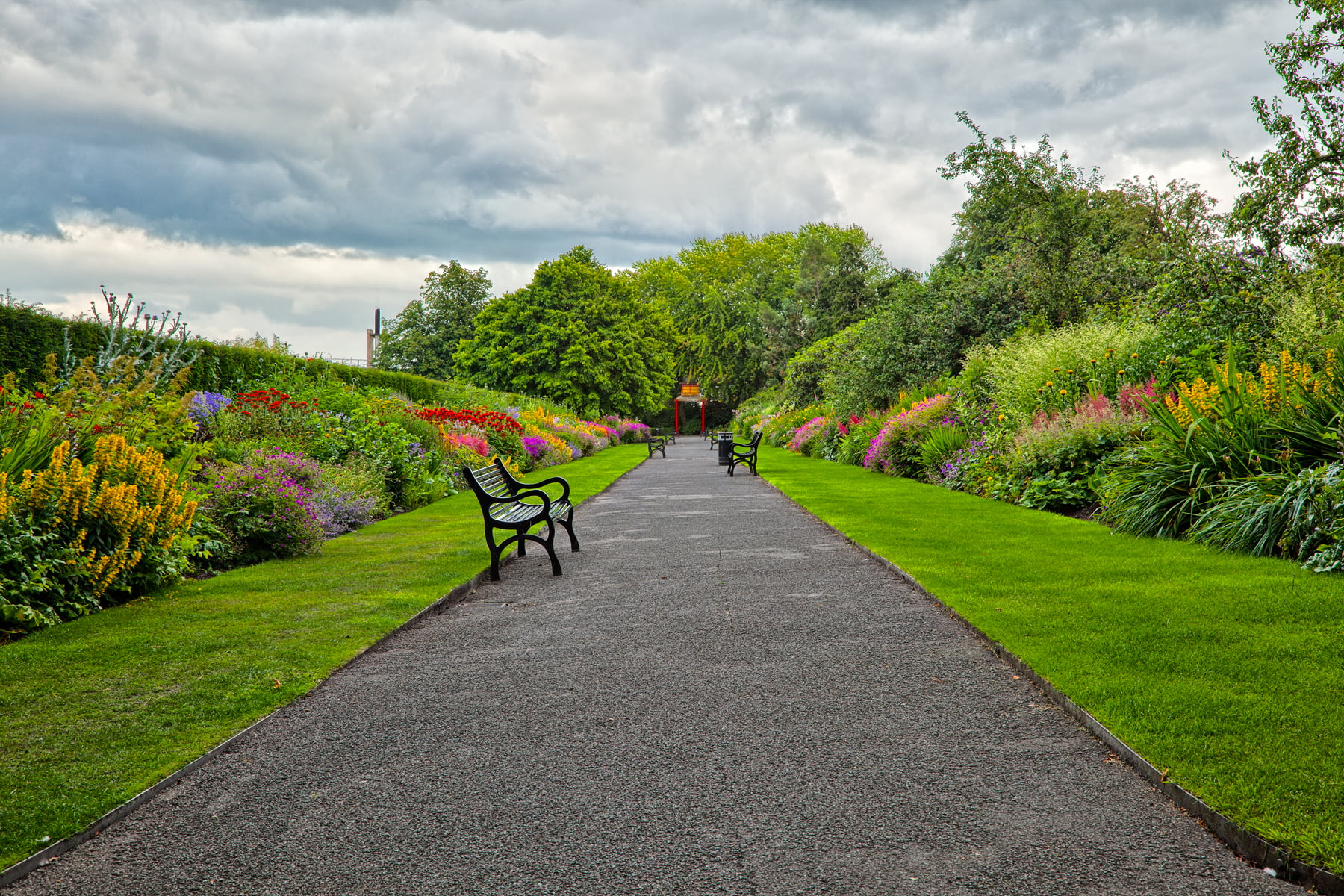 landscape photography of bench in pathway Belfast Botanic Gardens 2k
