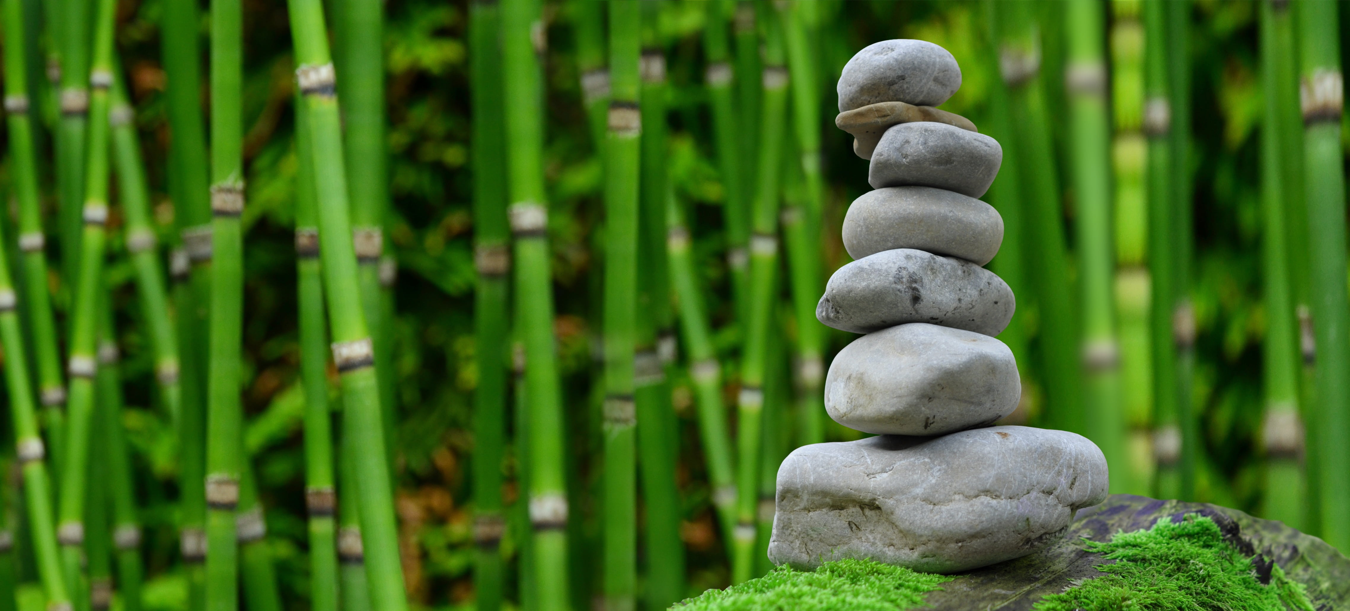 focus photo of cairn with bamboo trees background zen garden 2k 4k 5k
