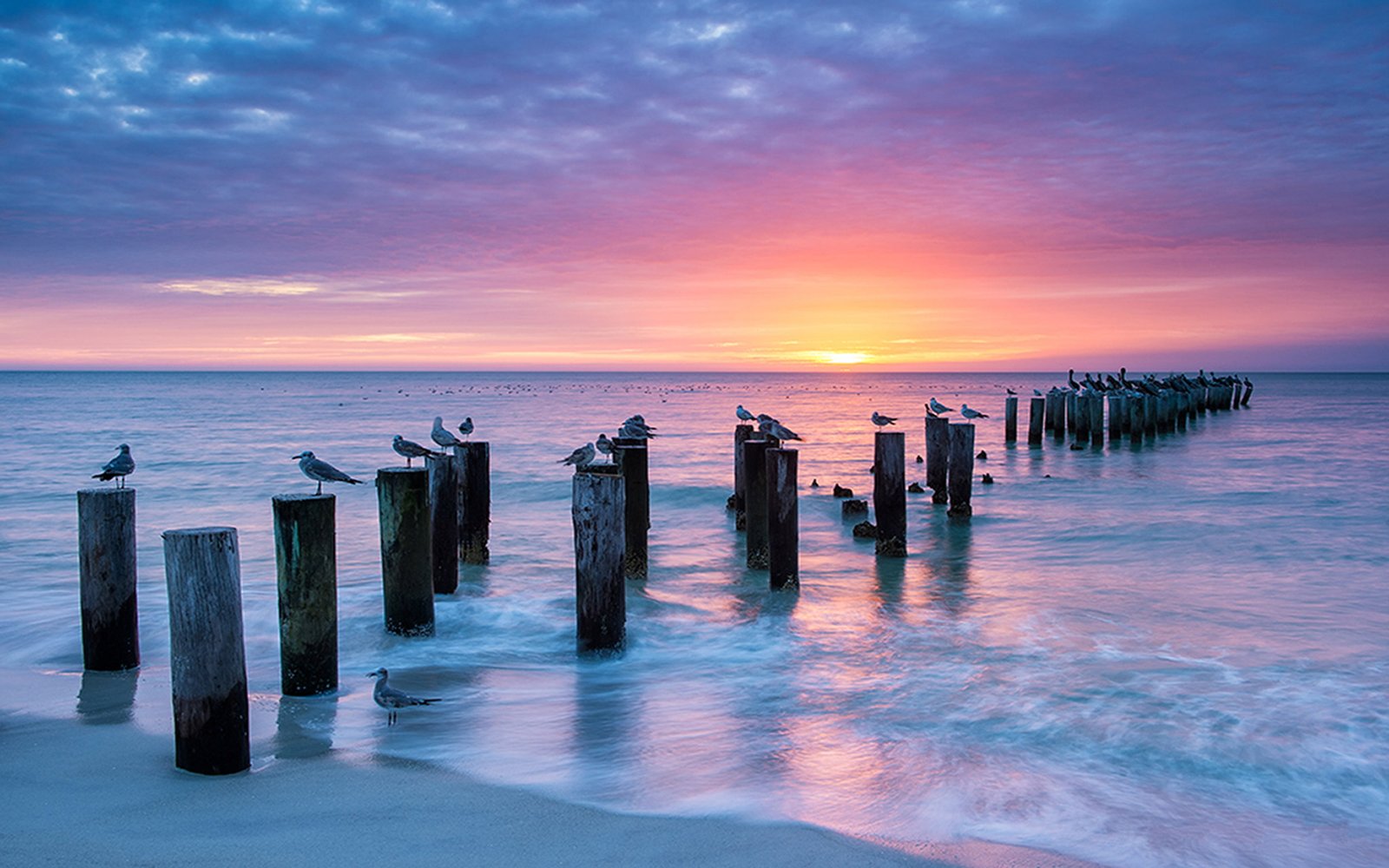 Sunset Naples The Old Pier Fort Myers United States Of America Beautiful Wooden Pillars Birds Ocean Waves Red Clouds Horizon Hd Wallpaper 2k 4k