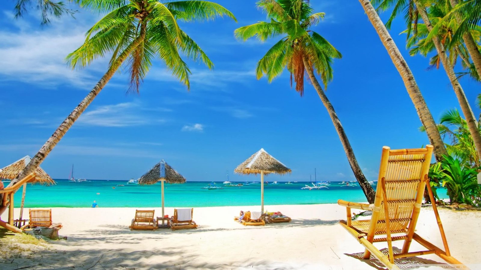 Tropical Paradise Beach Sea Palm Trees Summer Hd Desktop Wallpapers 2k 4k