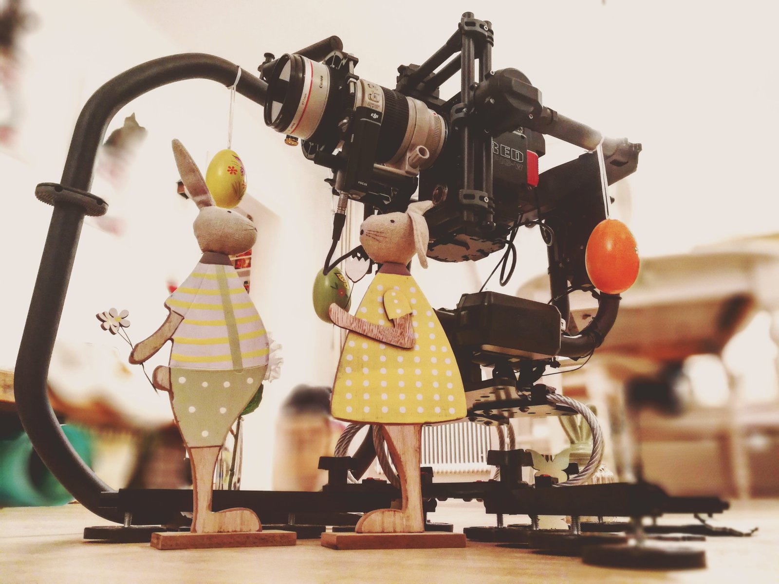 austria wels movipro gimbal redepicw cameragear canon 2k 4k