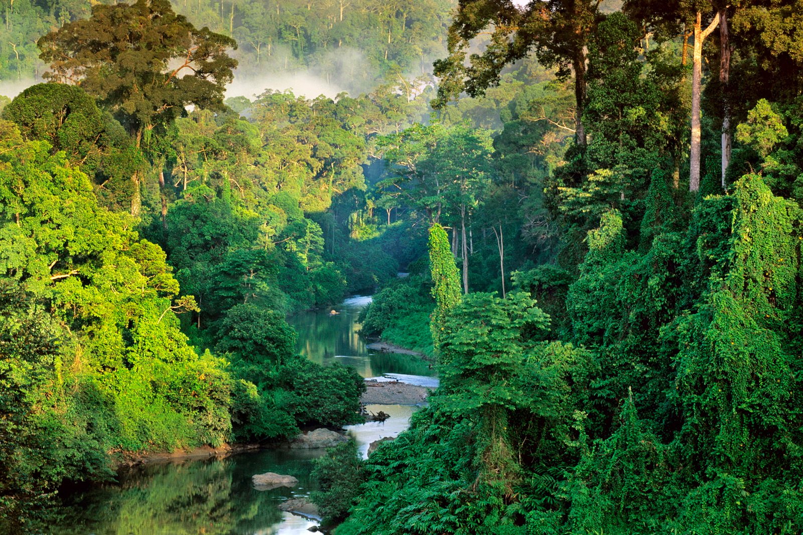 body of water and trees nature landscape National Geographic 2k