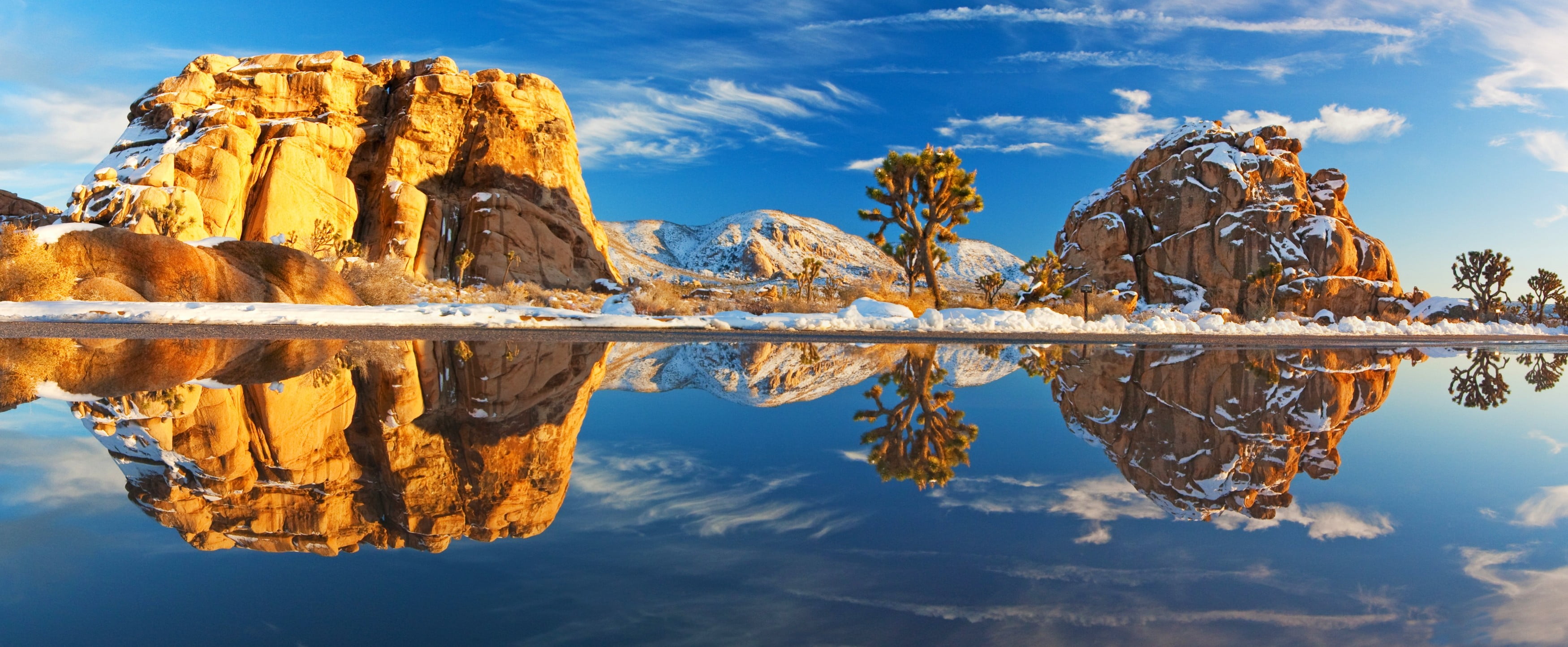 brown and green tree painting lake trees rock mountains winter 2k 4k