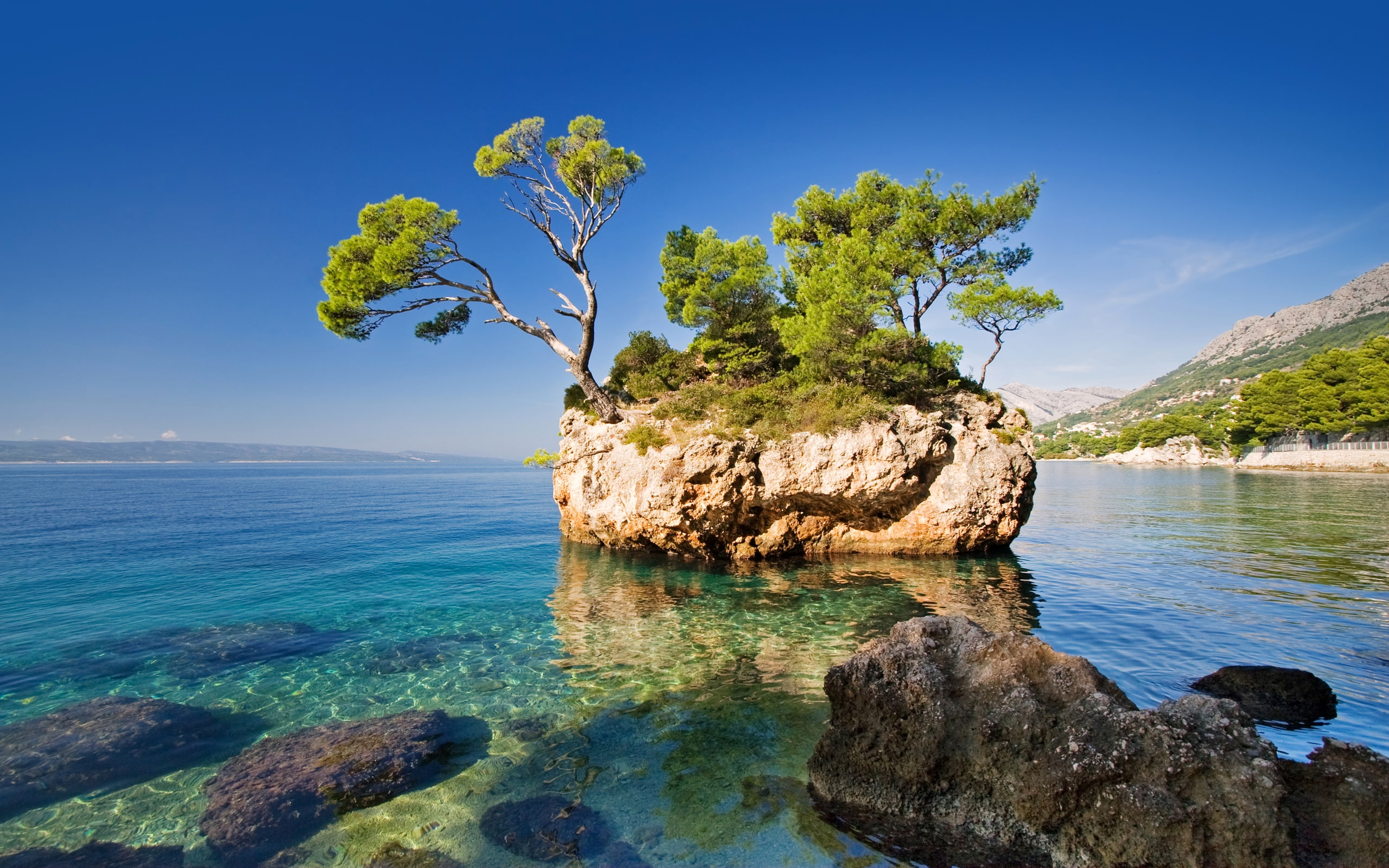 Croatia Sea Scenery Brela Crag Trees Nature 2k