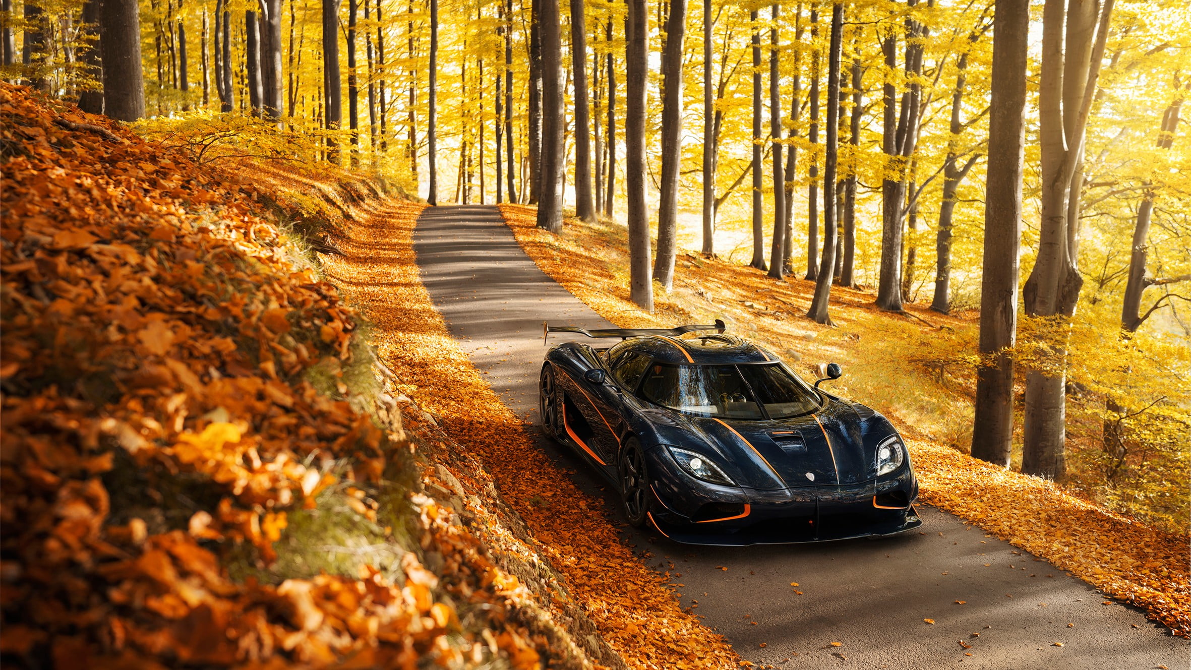 black luxury car vehicle nature fall leaves trees Koenigsegg 2k