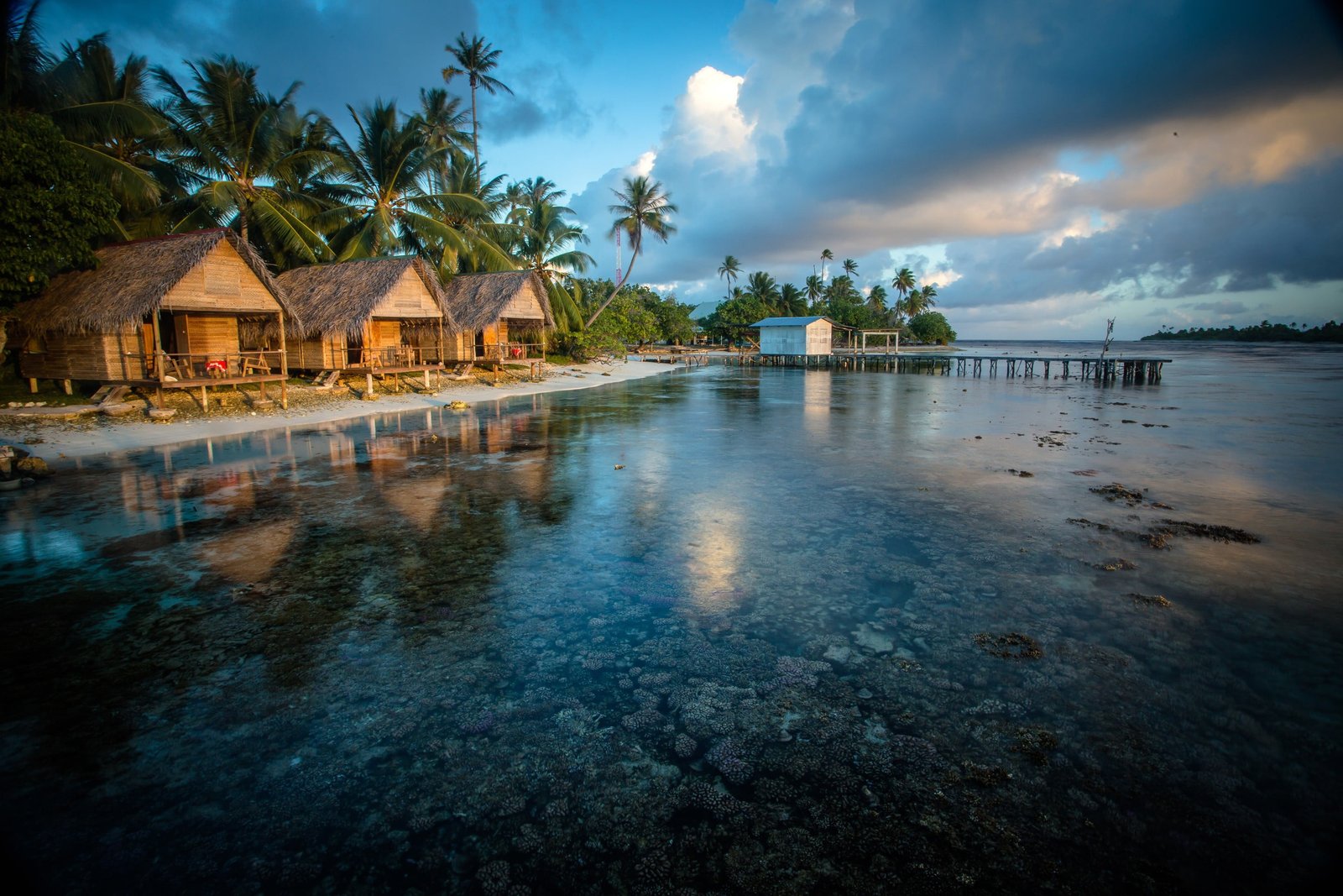 body of water nature landscape beach coral sea palm tree 2k