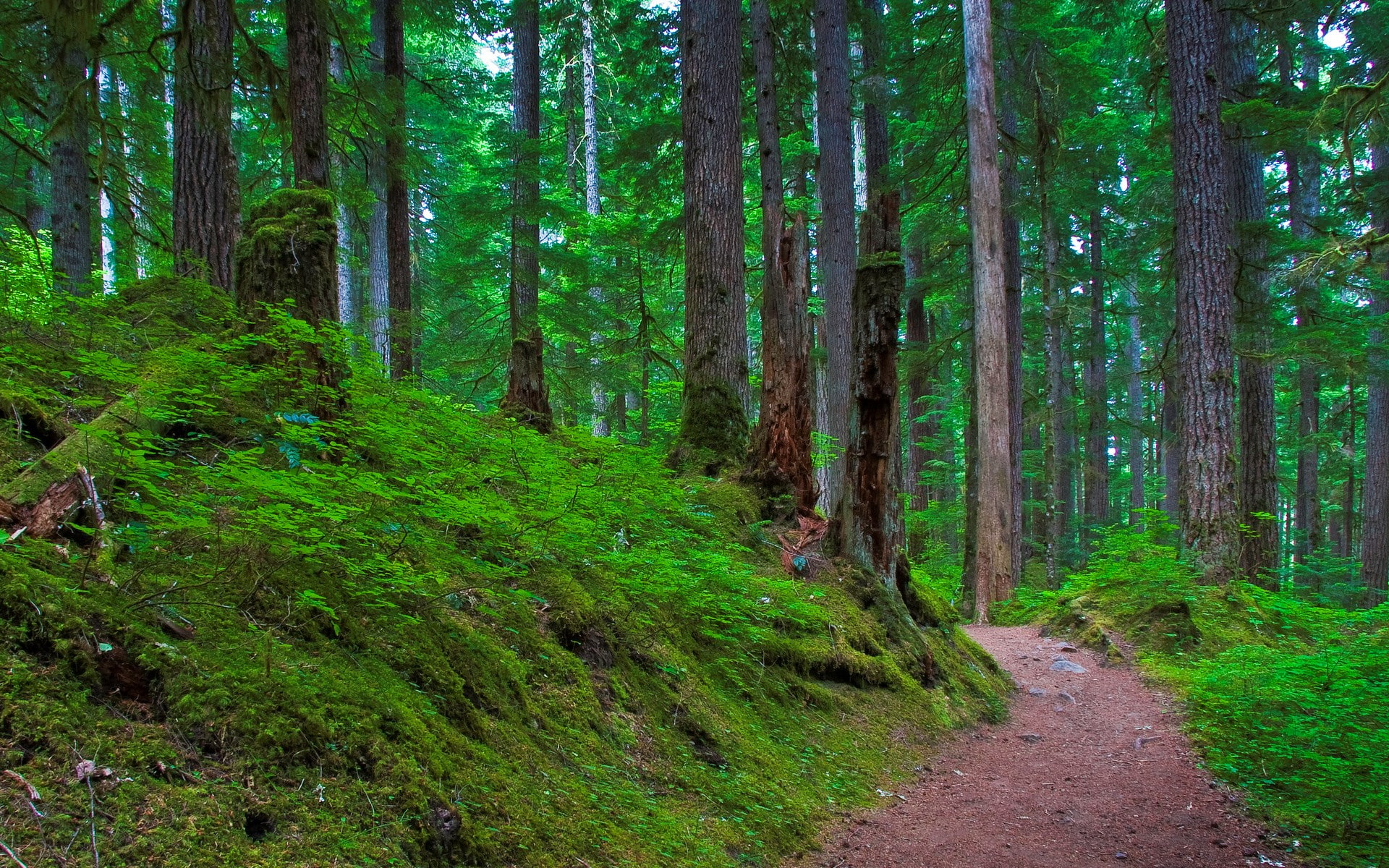 computer desktop background hd nature images 2k