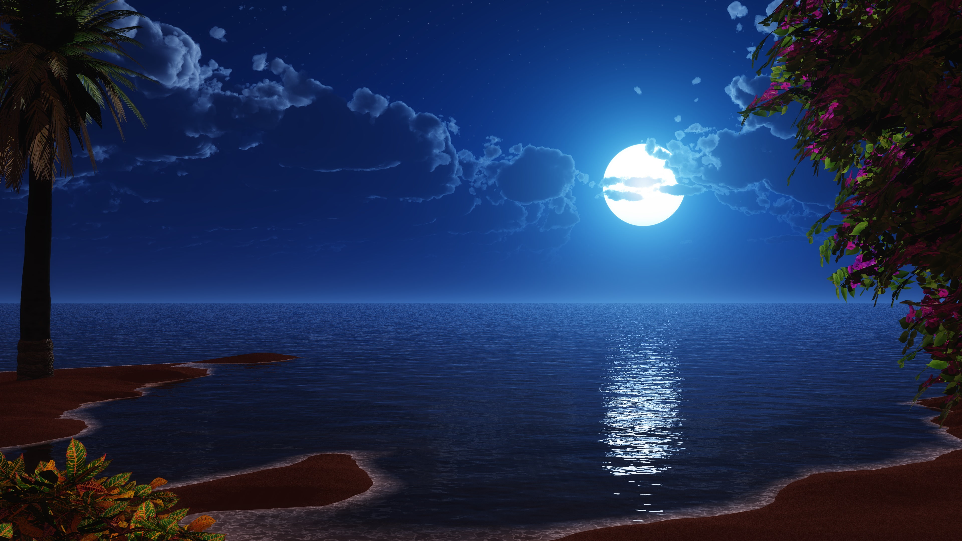 fantasy landscape beach night sky seascape ocean reflection 2k 4k