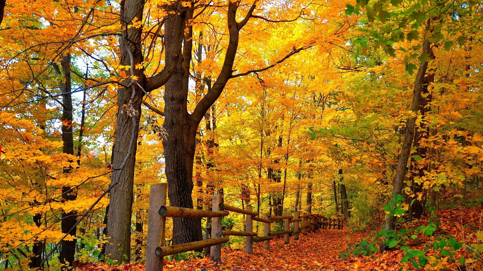 for desktop nature scenes beautiful scenery 2k