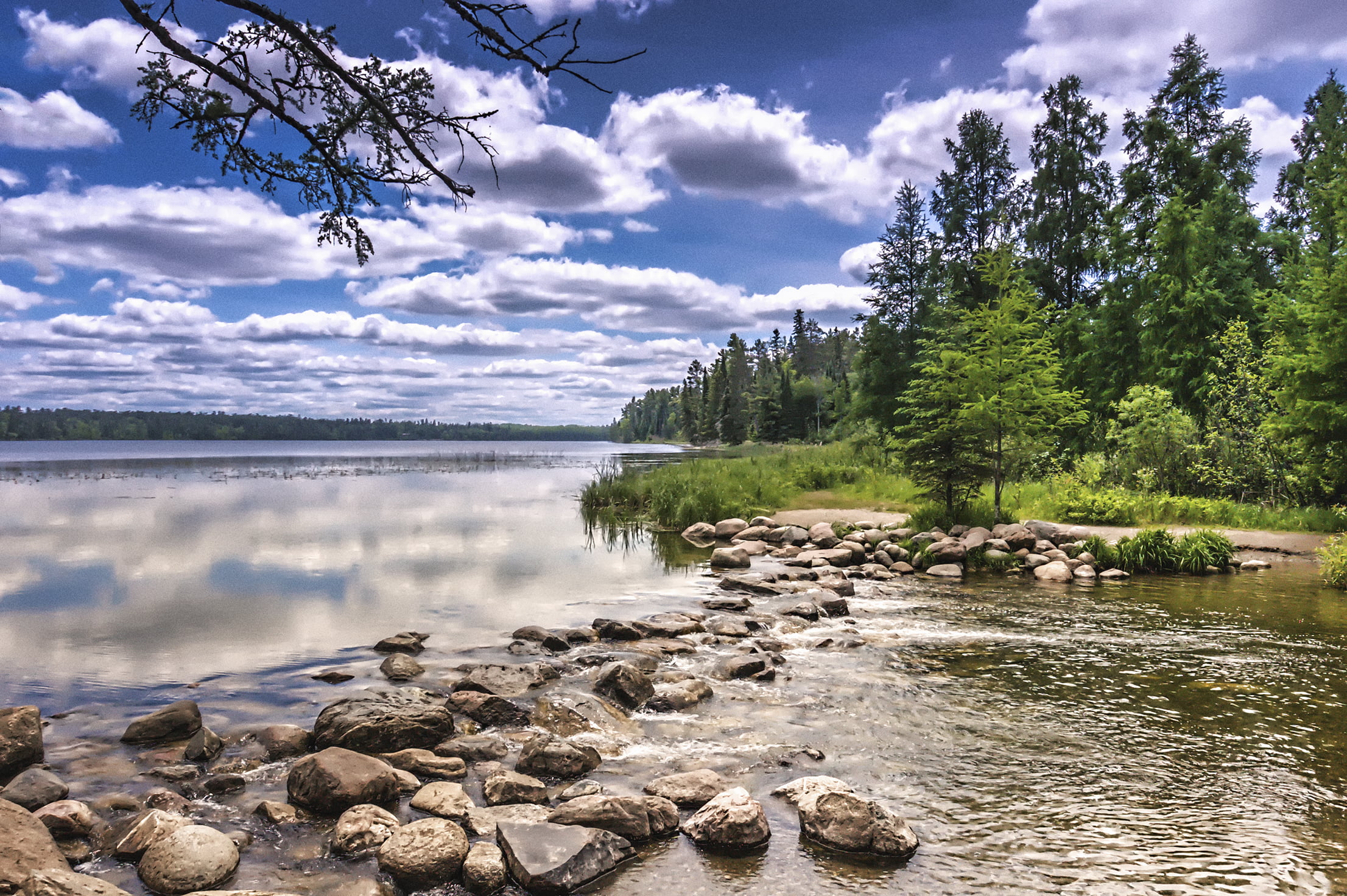 green trees near body of water clouds sky reflection mississippi river 2k