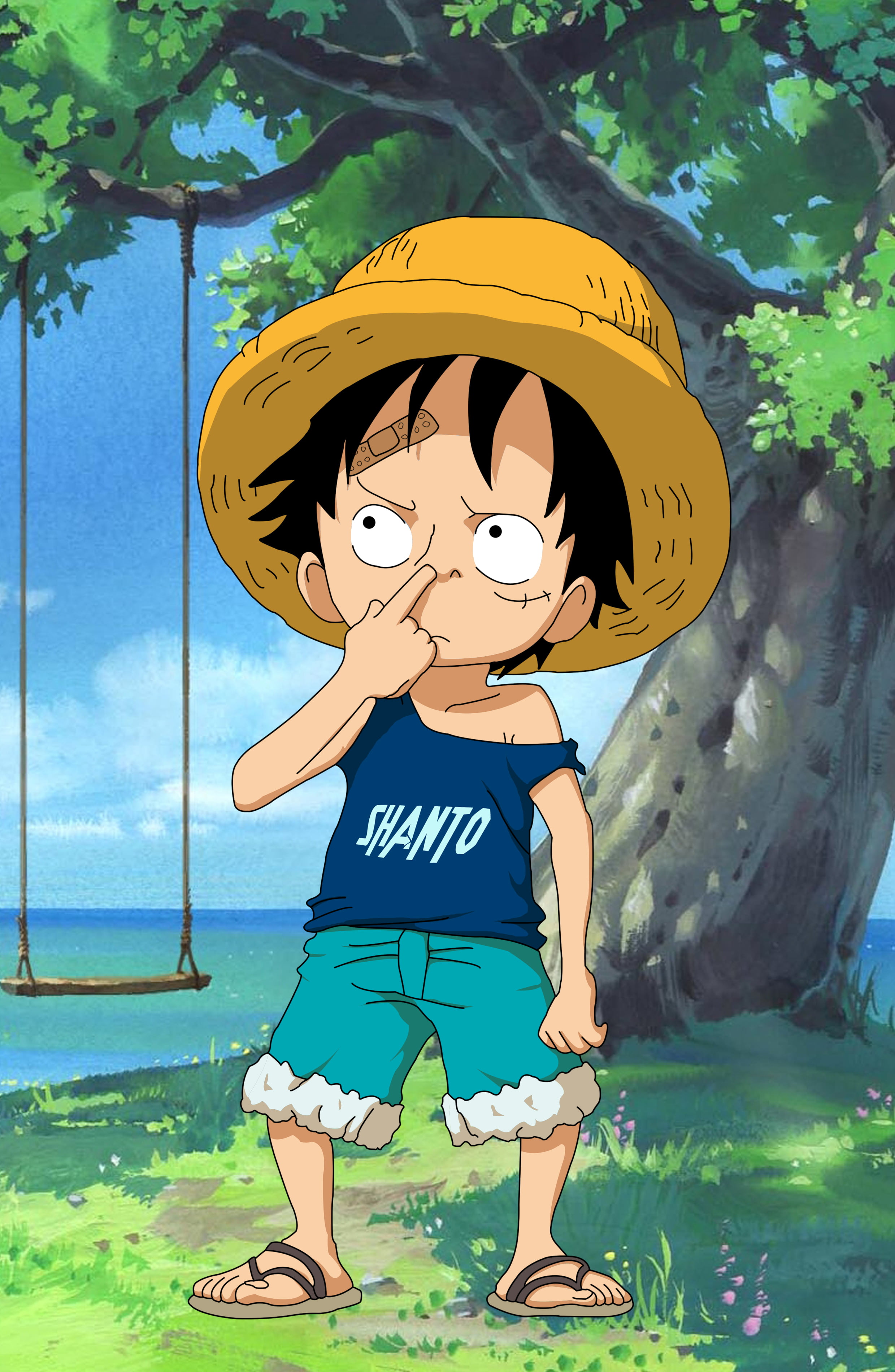 KID LUFFY Monkey D Luffy One Piece anime 2k