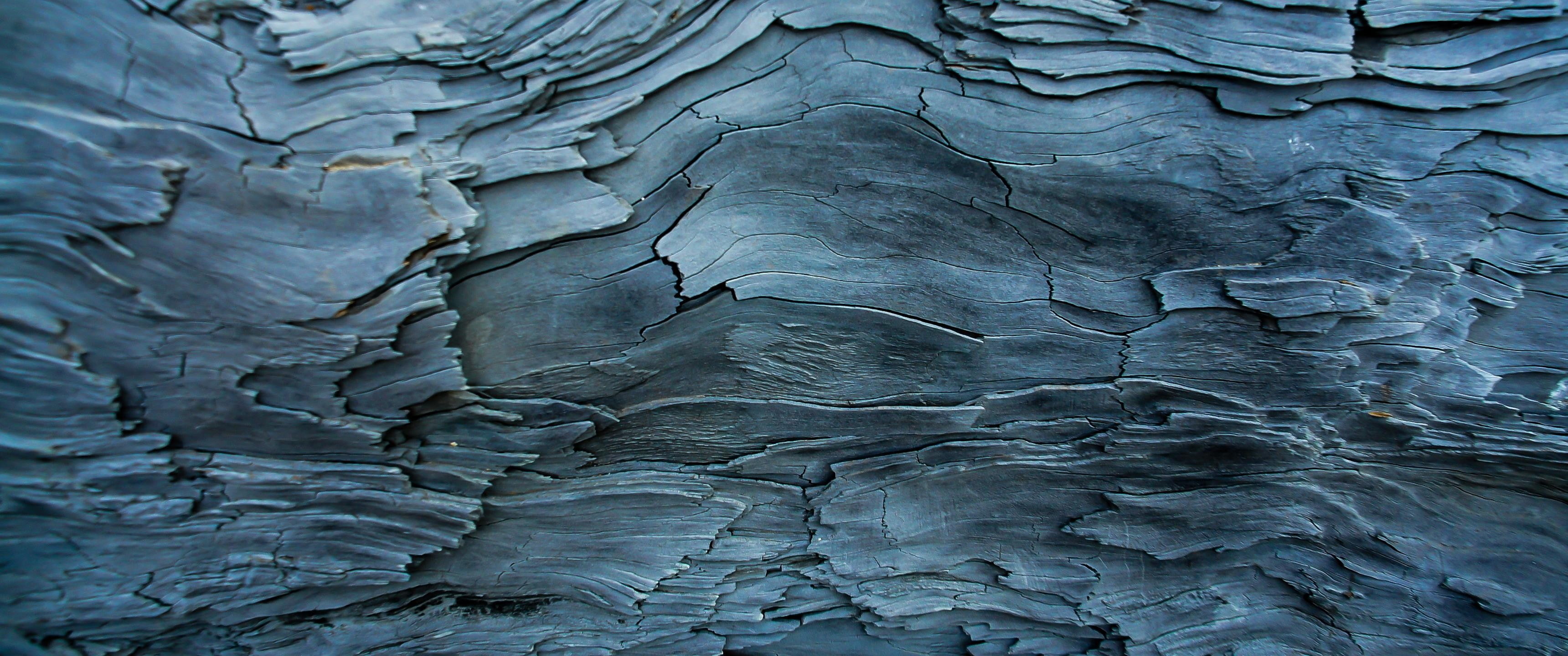 macro texture photography ultrawide log wood nature 2k