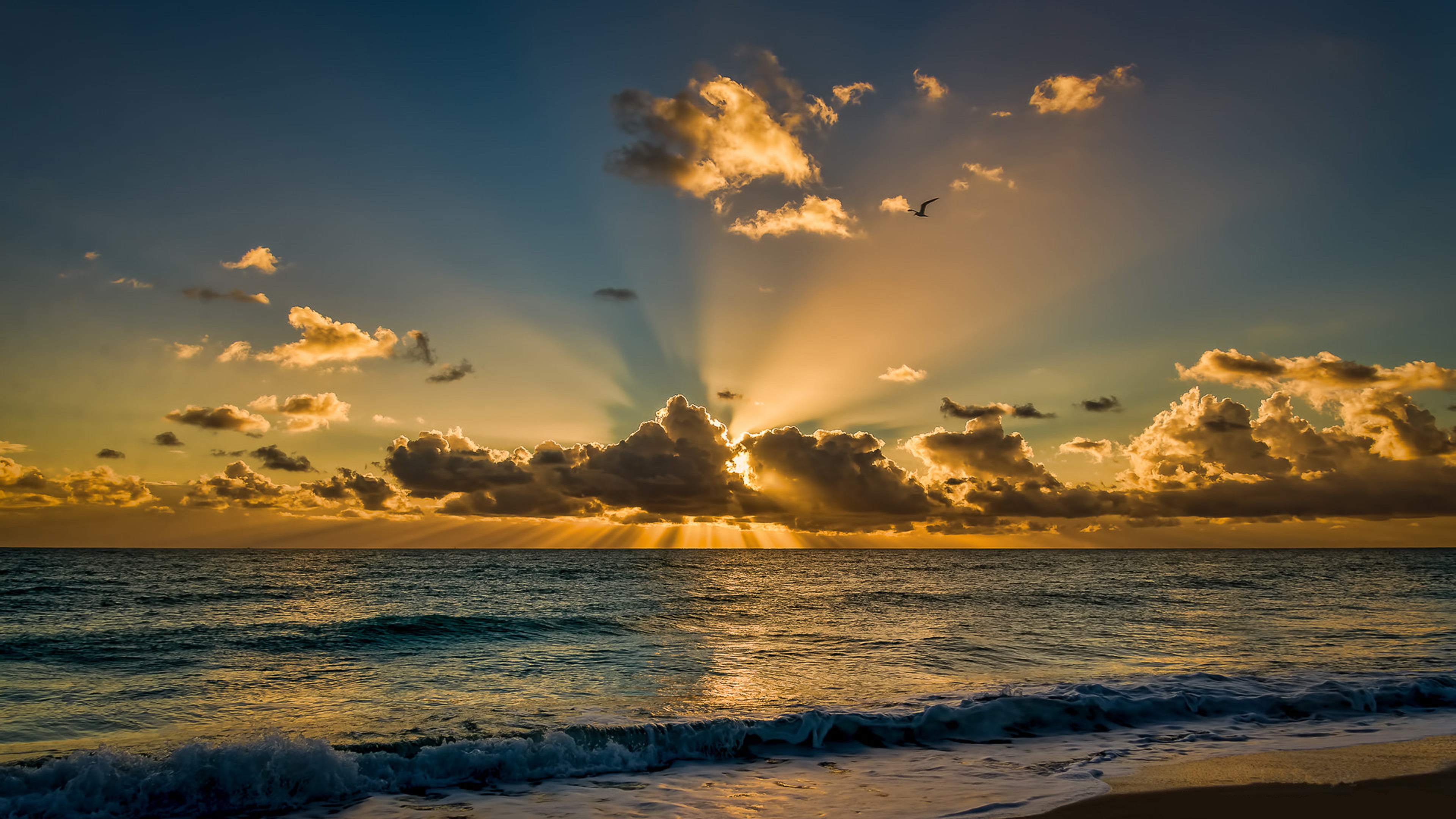 Miami Beach Florida Beautiful Sunrise Morning Sea Ocean Waves Sky With Dark Sun Rays Desktop Backgrounds Free Download For Windows 2k 4k