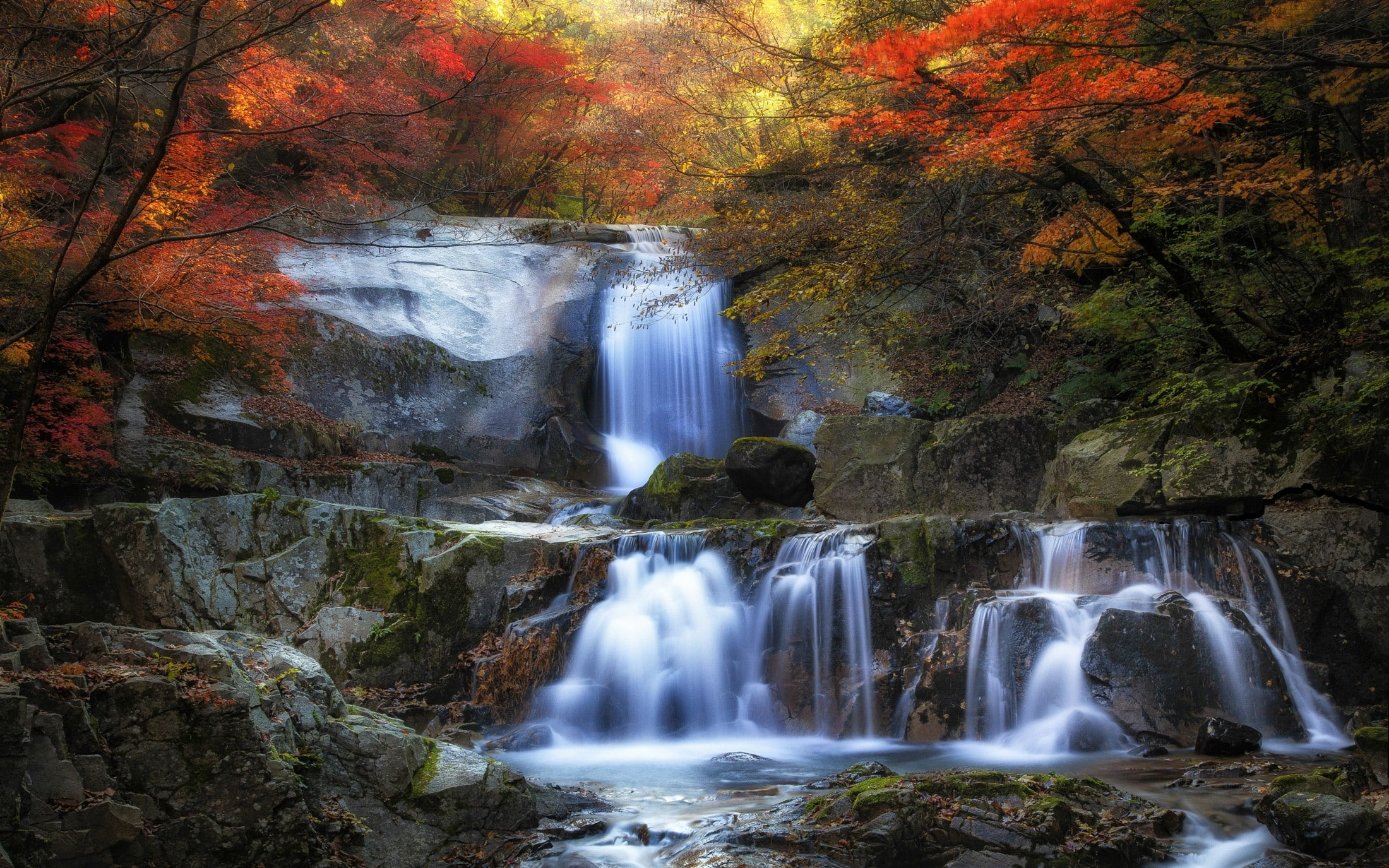 nature landscape fall waterfall colorful forest leaves 2k