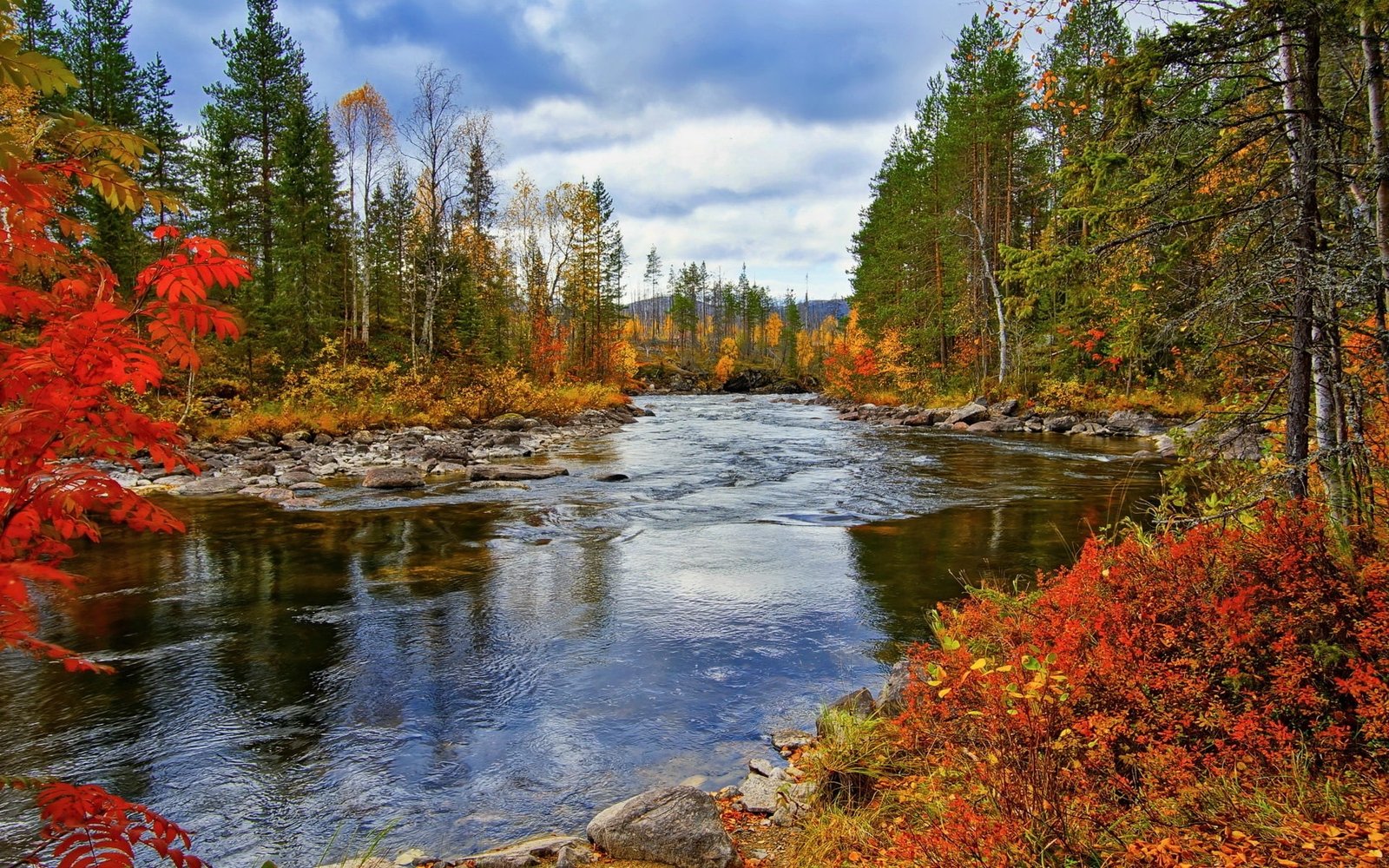 River trees autumn nature scenery 2k