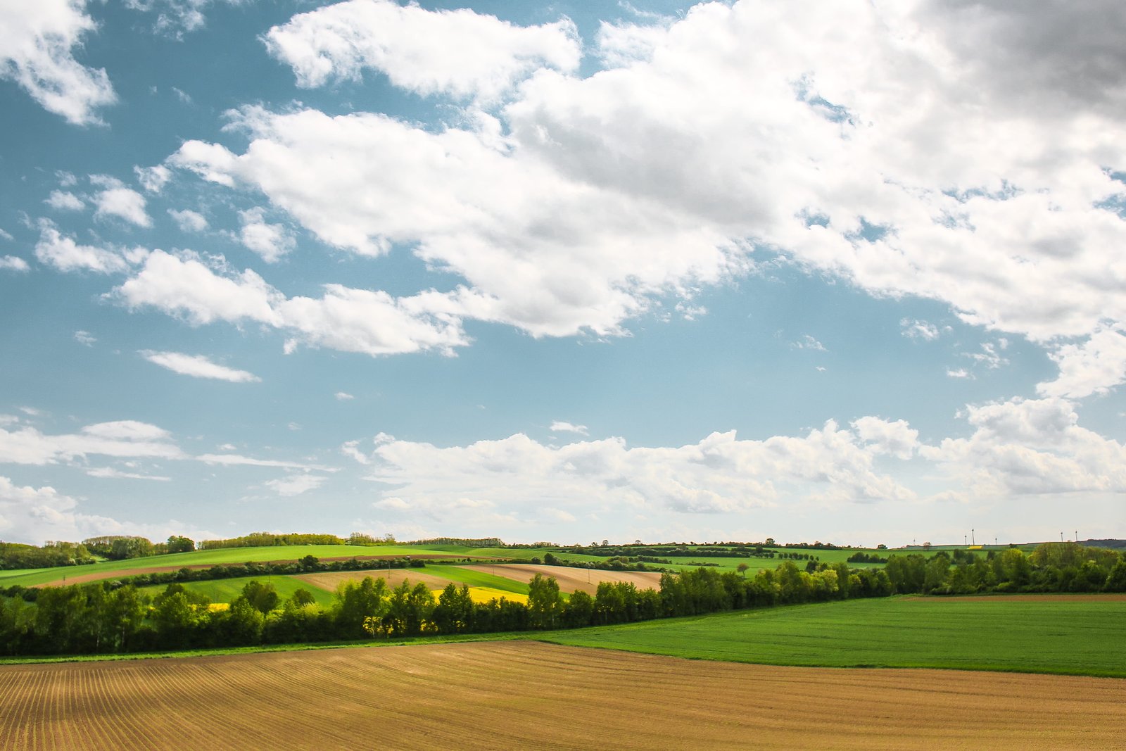 Another Scenery with Fields clouds nature sky view rural Scene 2k 4k