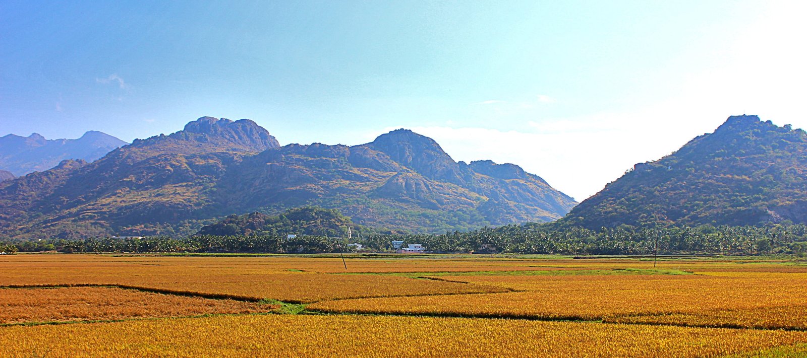 brown mountains during daytime South Nature Land Portrait 2k