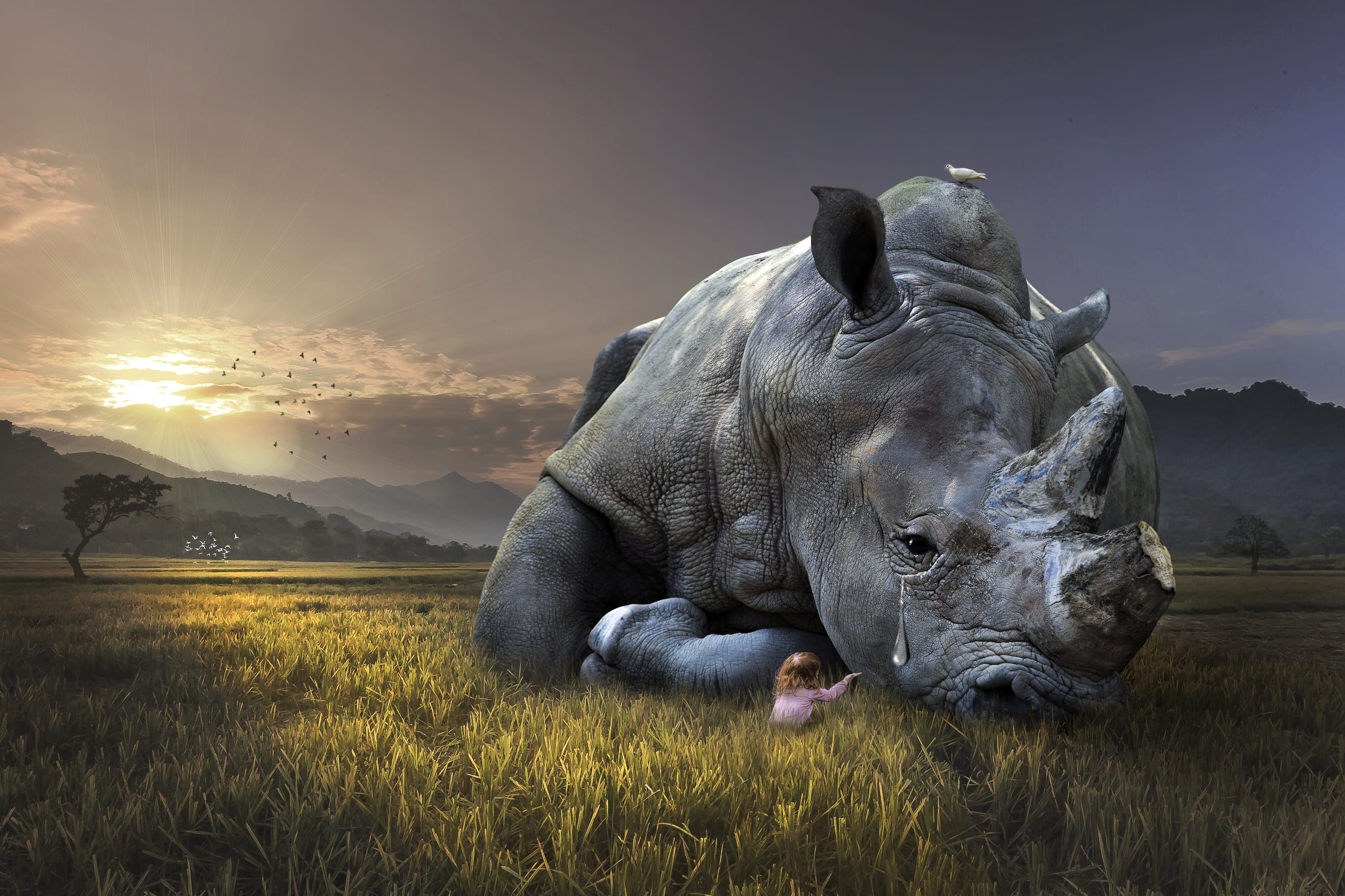 girl sitting beside rhino crying laying on green grass field 2k