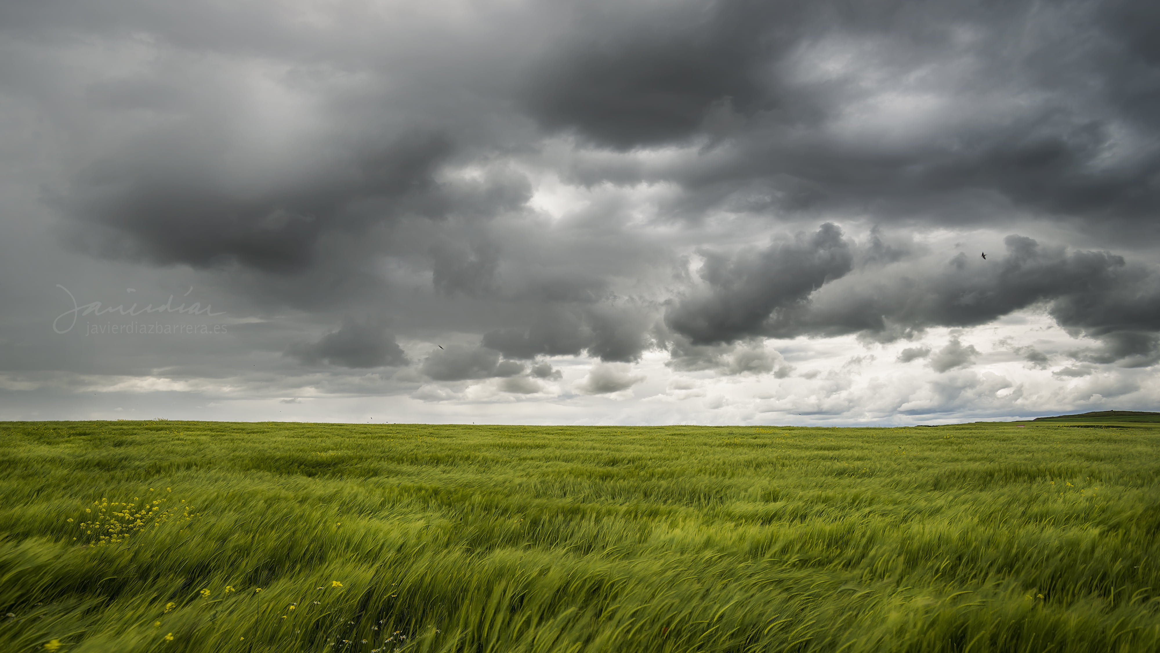 green grass field under gray sky Agua mayo lluvia clouds 2k 4k