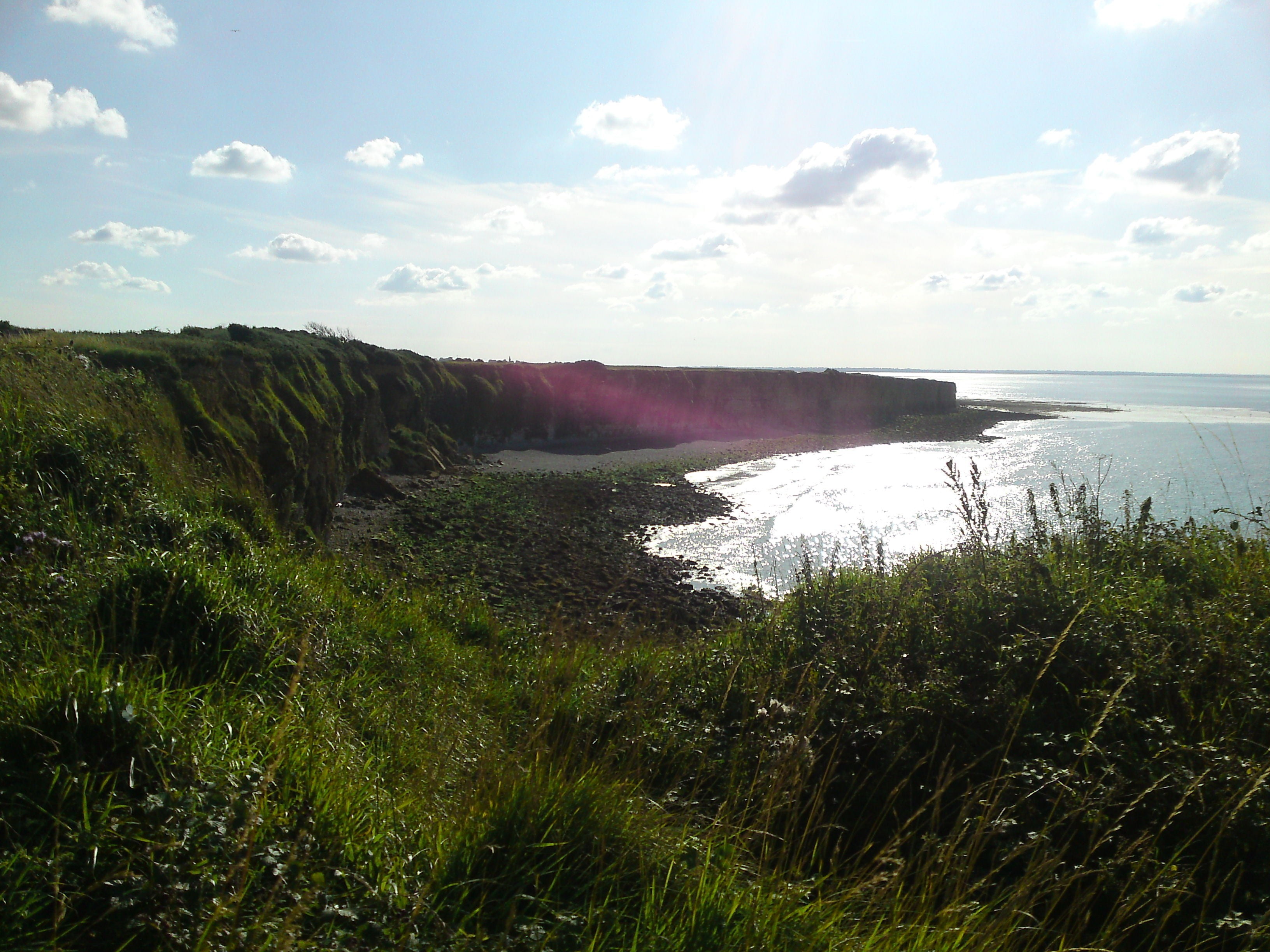 green grass field landscape Omaha Beach plant beauty in nature 2k