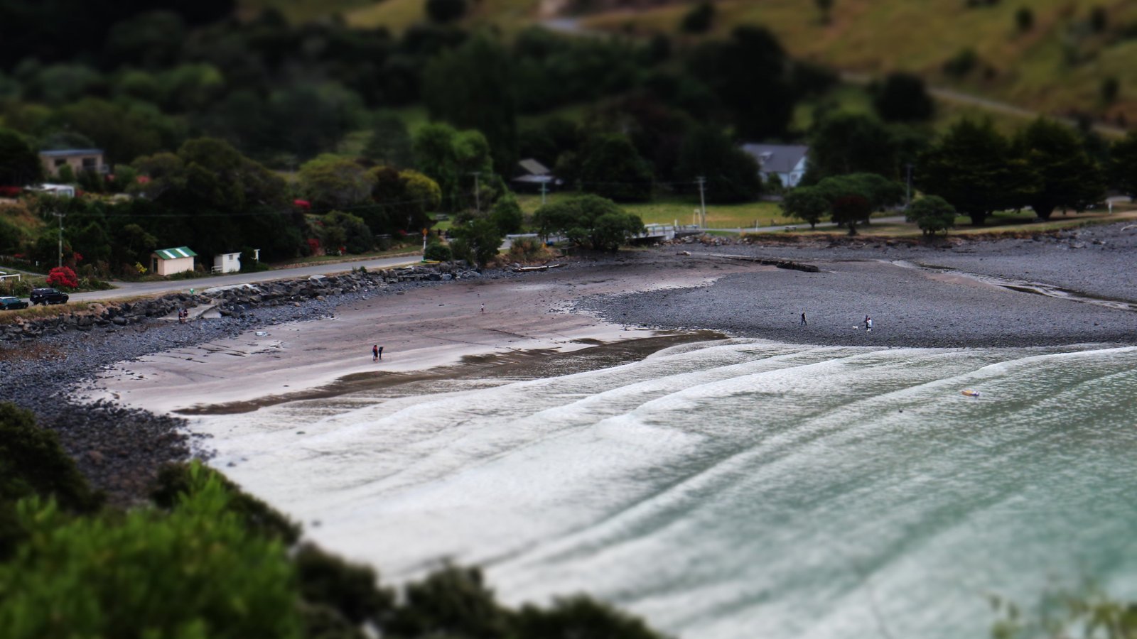 green trees seawaves near at daytime beach tilt shift 2k 4k 5k
