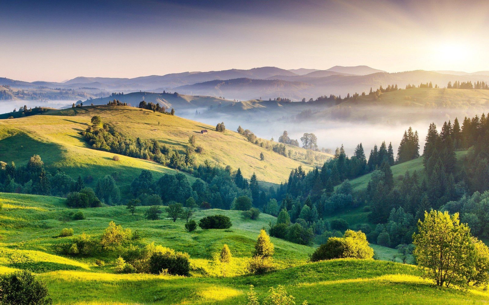 Nature Mountain Forest Landscape Fog Lake Ultrahd Free Photos 2k