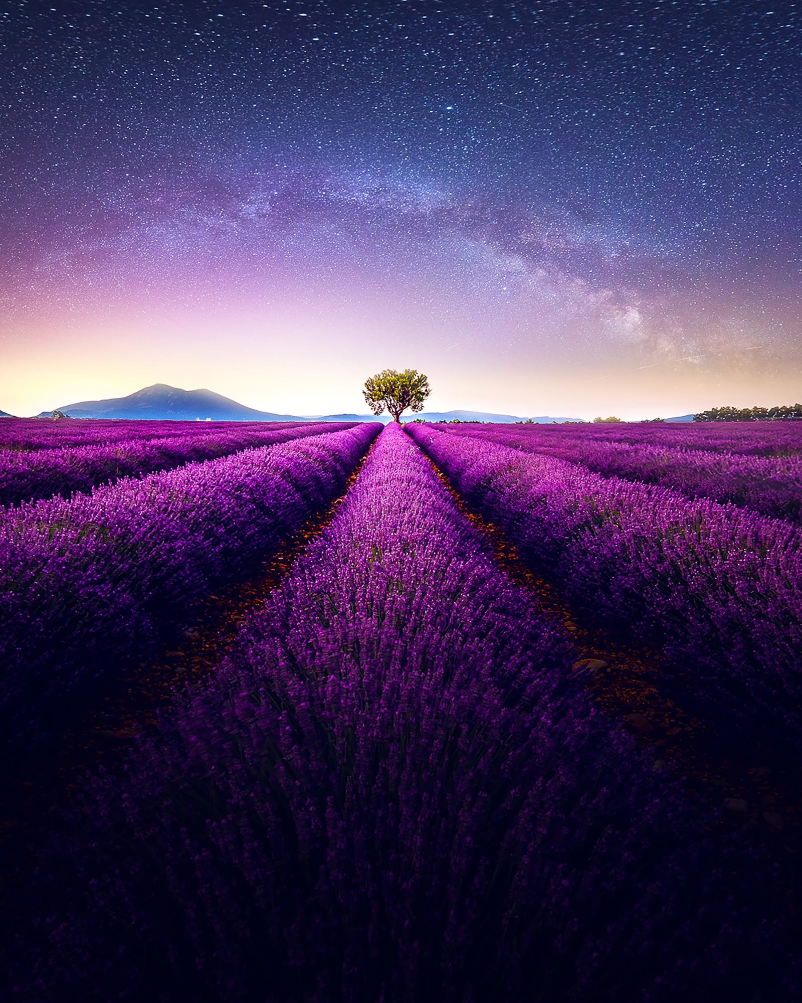 night landscape iphone wallpaper field sky purple beauty in nature 2k