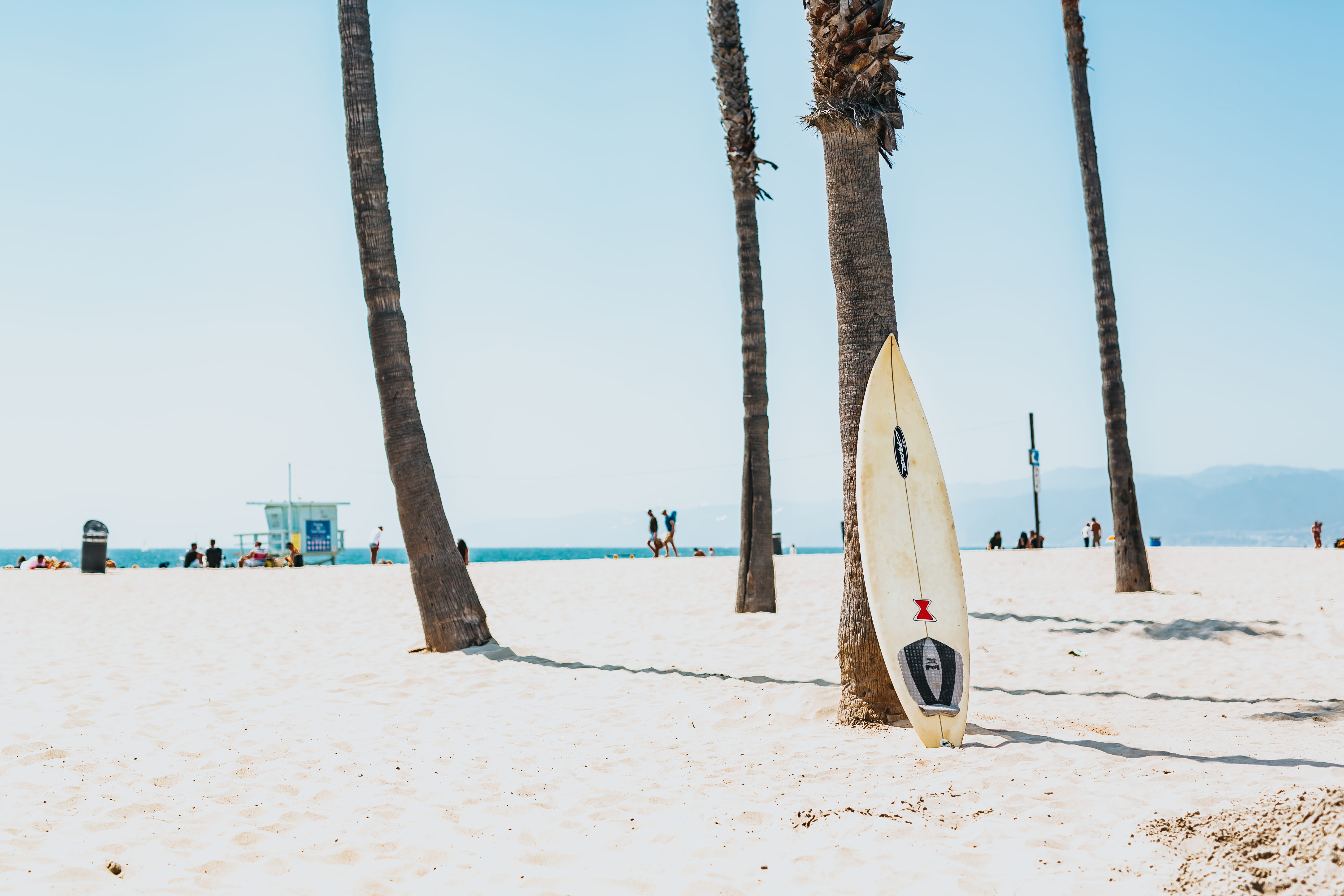 selective focus photography of white surfboard an black leaning on coconut tree in seashore 2k 4k 5k