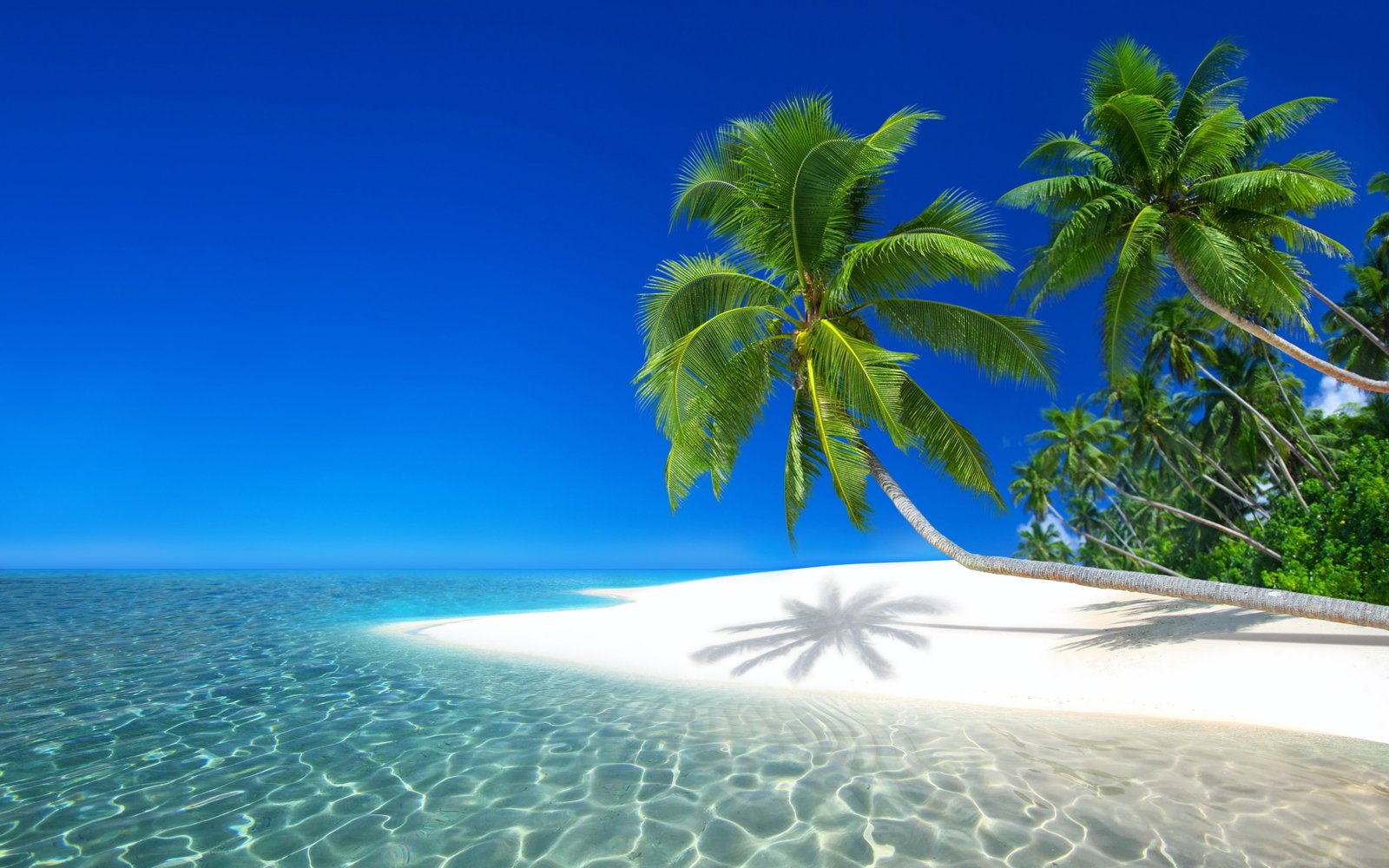 seychelles resort ocean holiday beach island Nature tropical climate 2k 4k