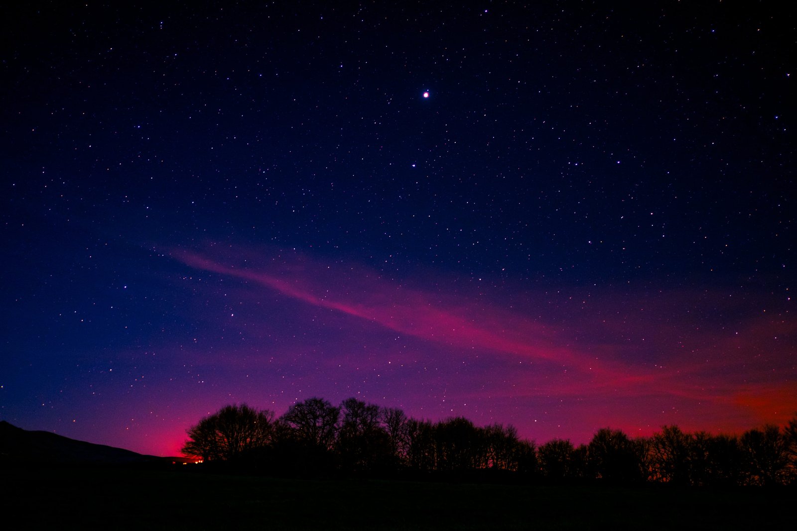 silhouette of tree with pink clouds under starry night trees sky 2k 4k 5k