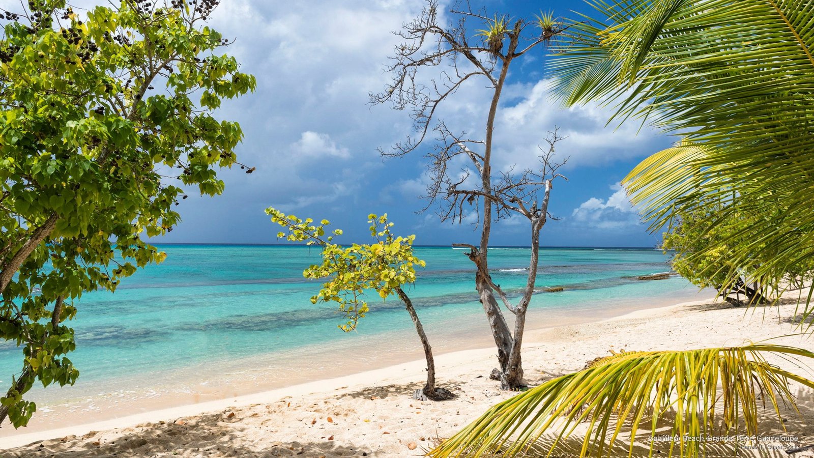 Souffleur Beach Grande Terre Guadeloupe Islands 2k