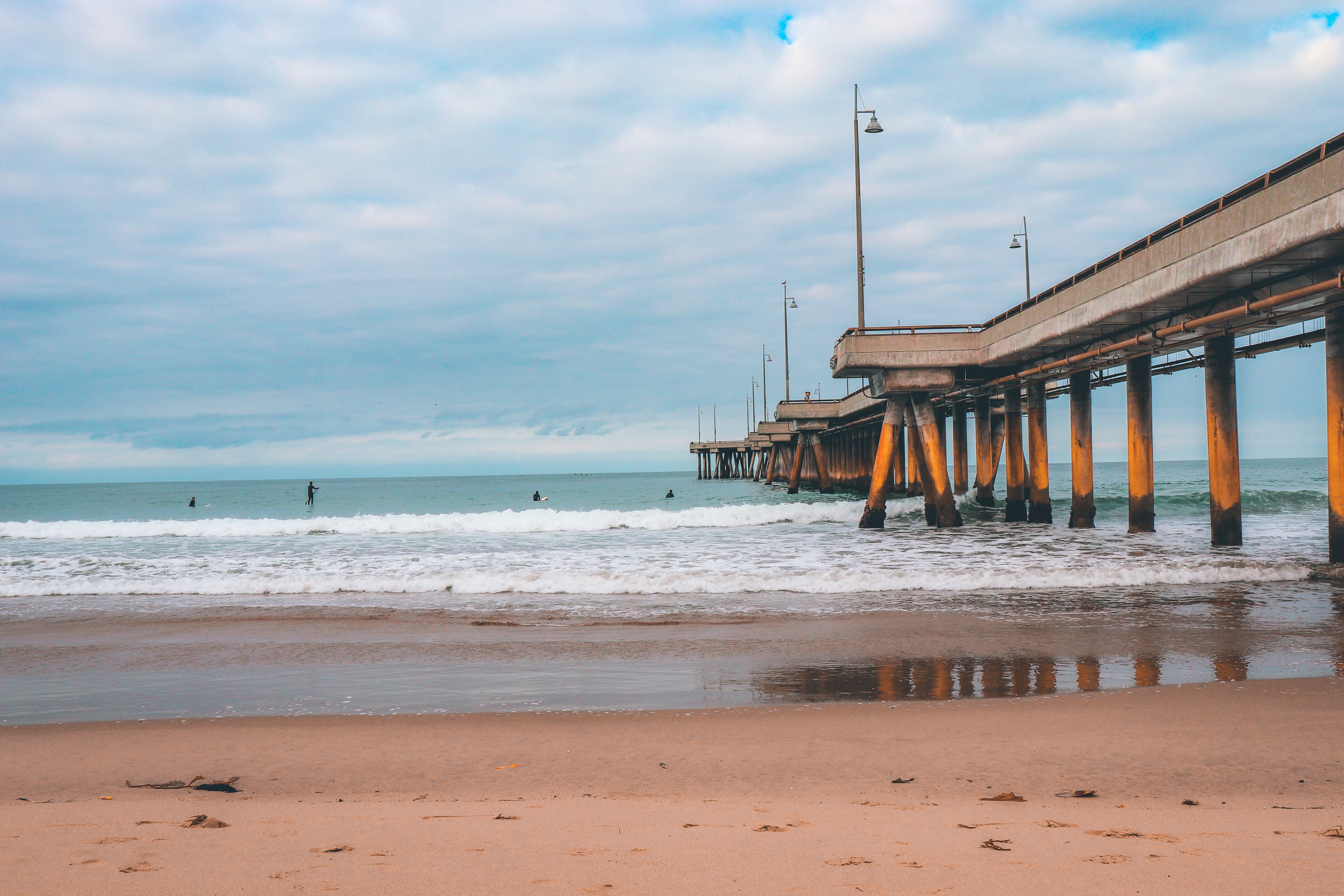 venice beach united states los angeles surfer ocean water 2k 4k 5k
