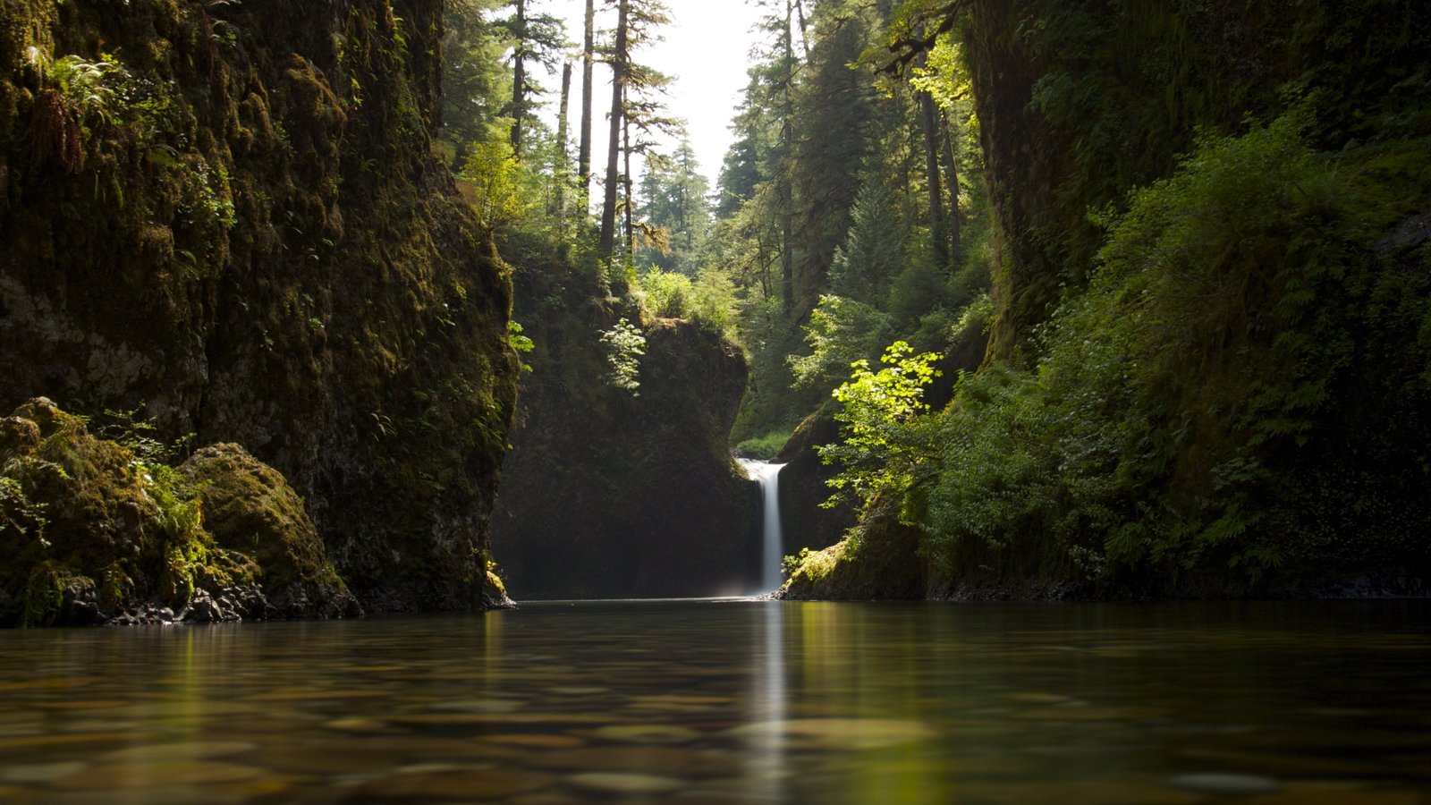 waterfalls and green leafed plants nature landscape trees 2k 4k