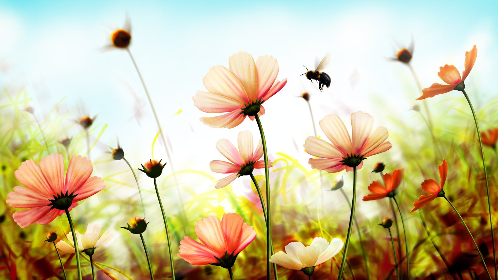 white and pink petal flowers in bloom wallpaper spring 2k 4k 5k