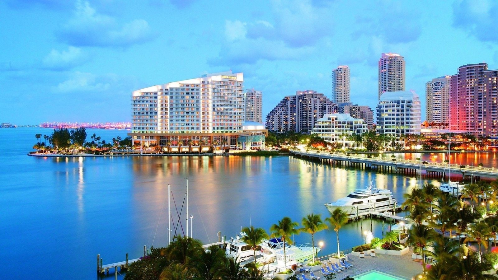 beach city florida miami ocean sea 2k 4k