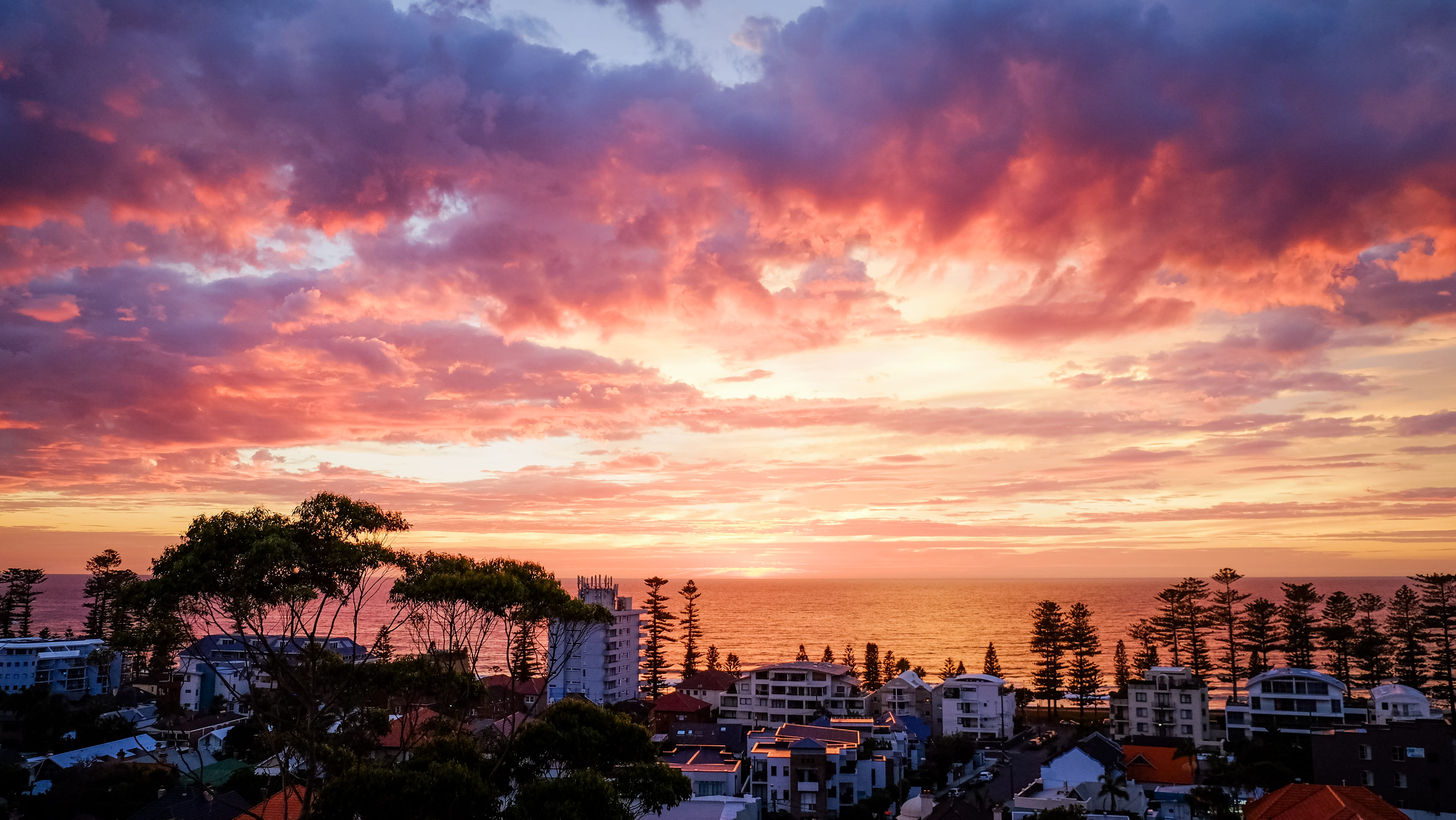 australia manly kangaroo street nsw sydney sunshine sunny 2k 4k 5k