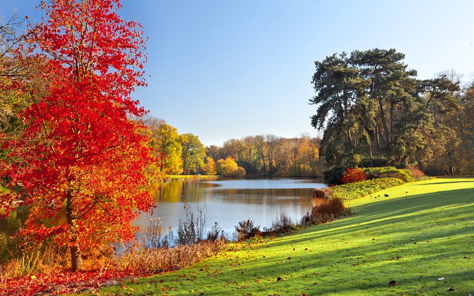 Autumn park lake trees leaves nature scenery 2k