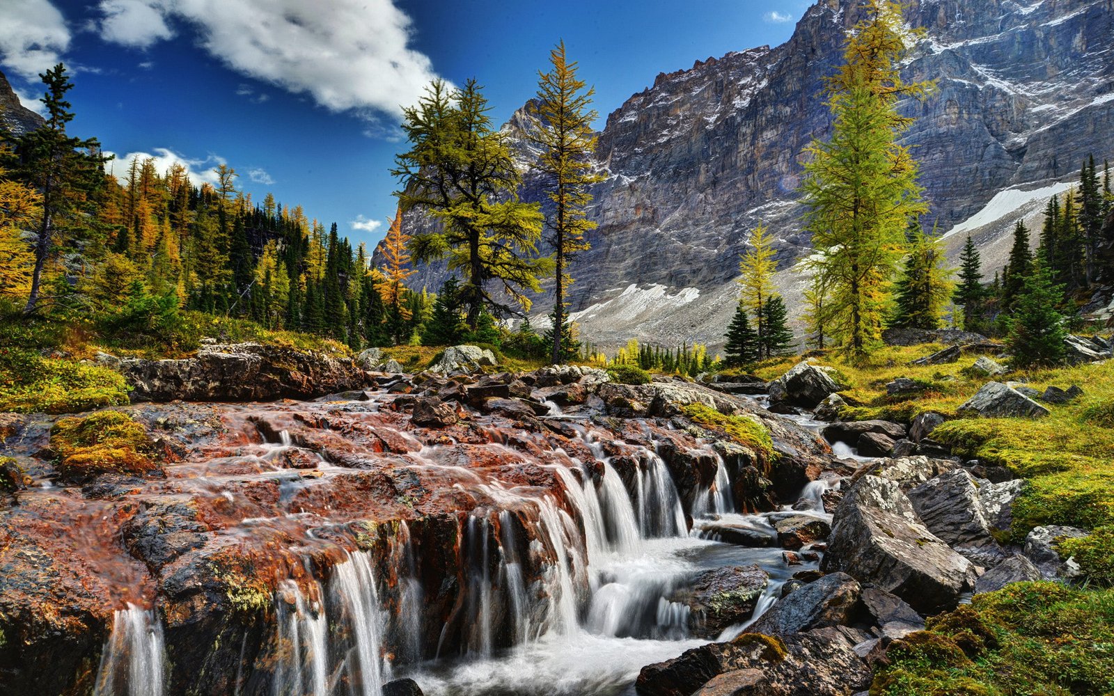 Beautiful Scenery Mountain River Rocks Rocky Pine Shua Yoho National Park Canada Download Wallpaper Hd 2k