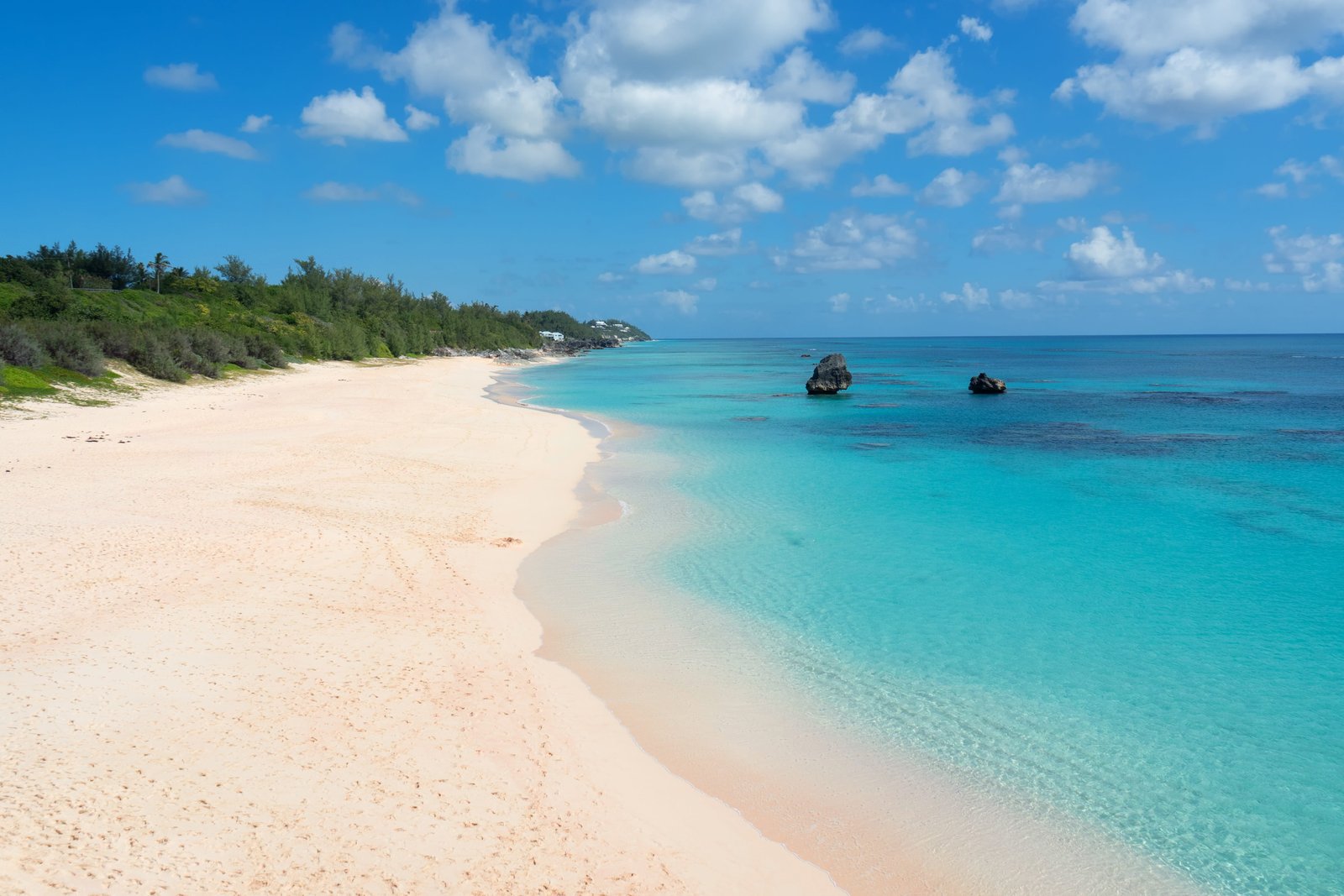 bermuda pink sand beach ocean nature water summer sky 2k 4k 5k
