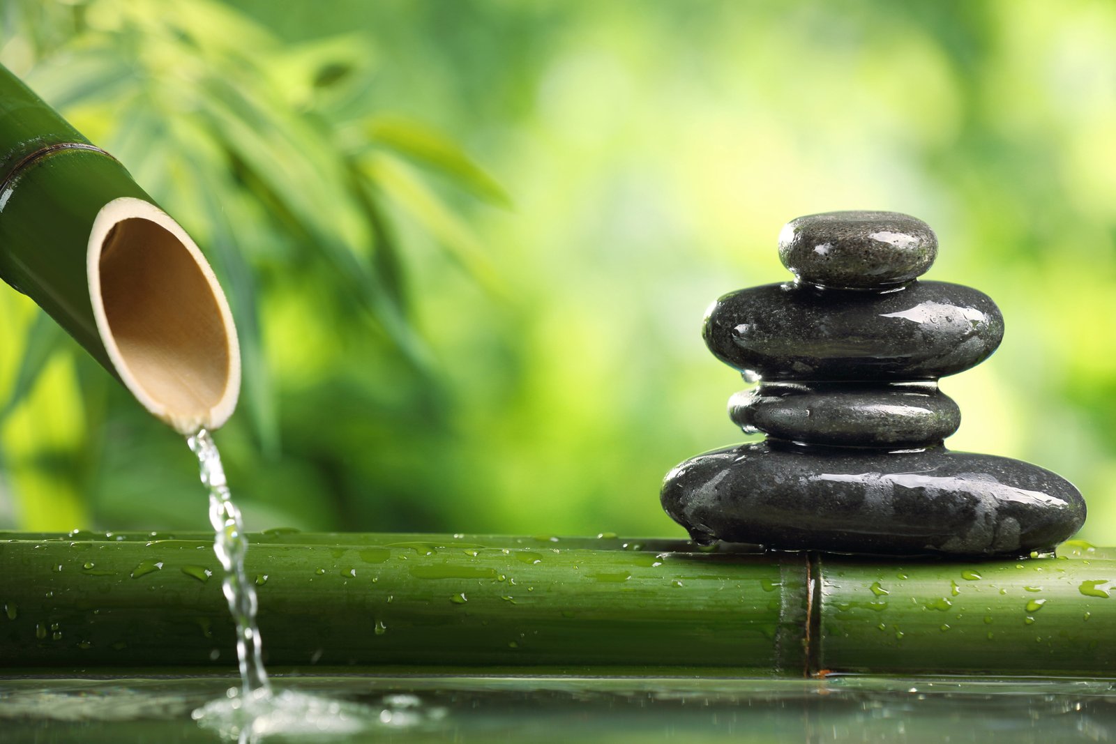 black cairn water stones stems calm bamboo blur green 2k 4k 5k