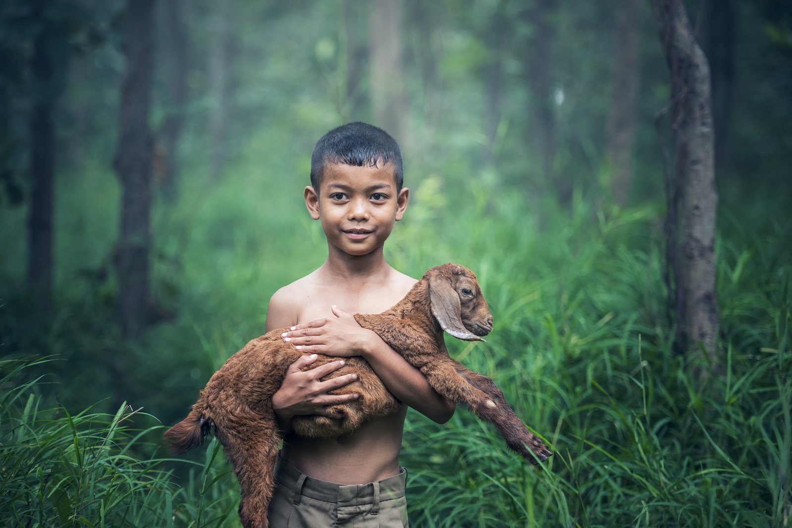 boy in gray shorts carrying a brown goat kid boys outdoor thailand 2k 4k 5k