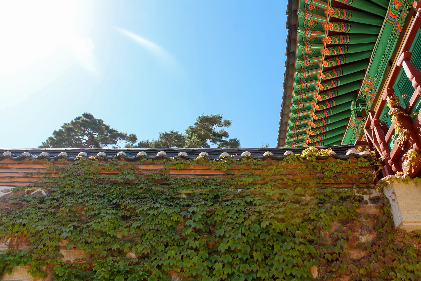 Castle Korean Traditional Wall ancient architecture south 2k 4k