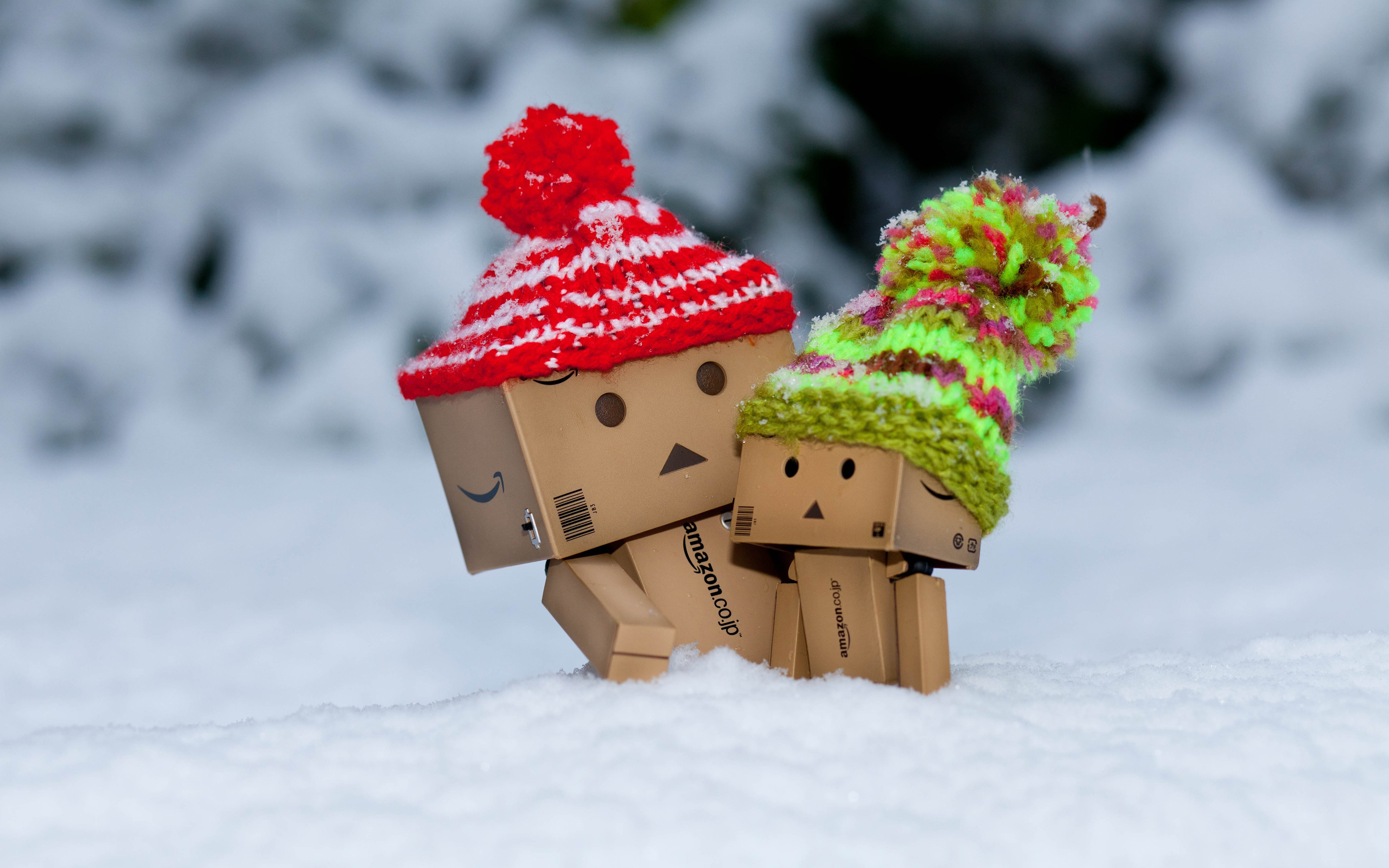 Danbo scared snow HD 2k 4k 5k