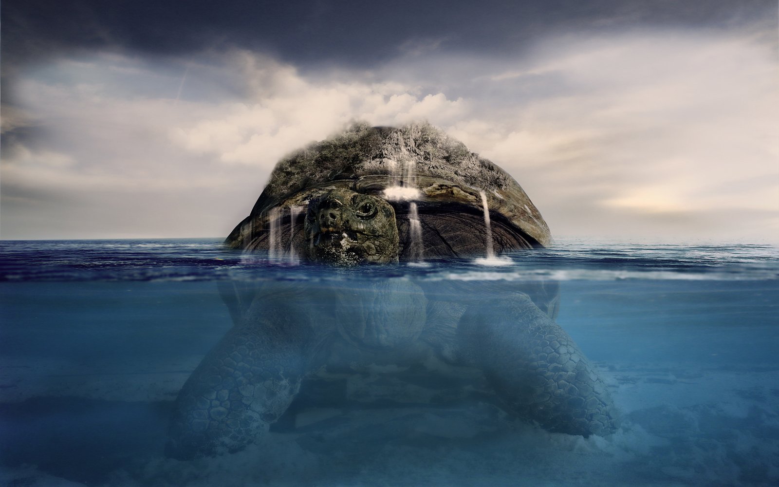 dream Tortoise HD 2k 4k 5k