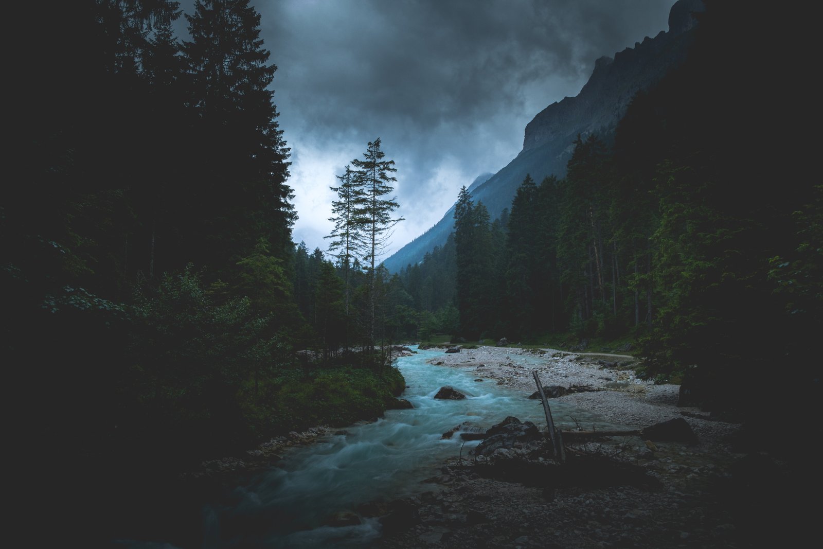 green leafed tree landscape forest overcast dark river nature 2k 4k 5k