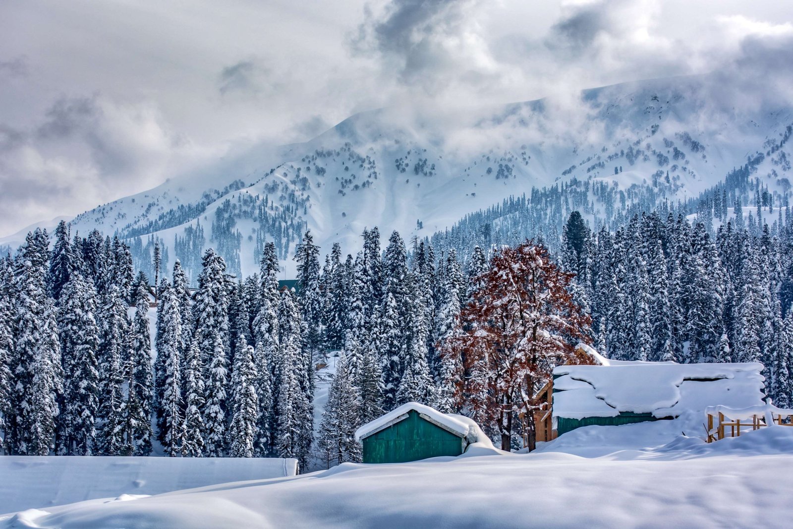 happy snow fall kashmir murree pakistan snowfall in azad 2k 4k