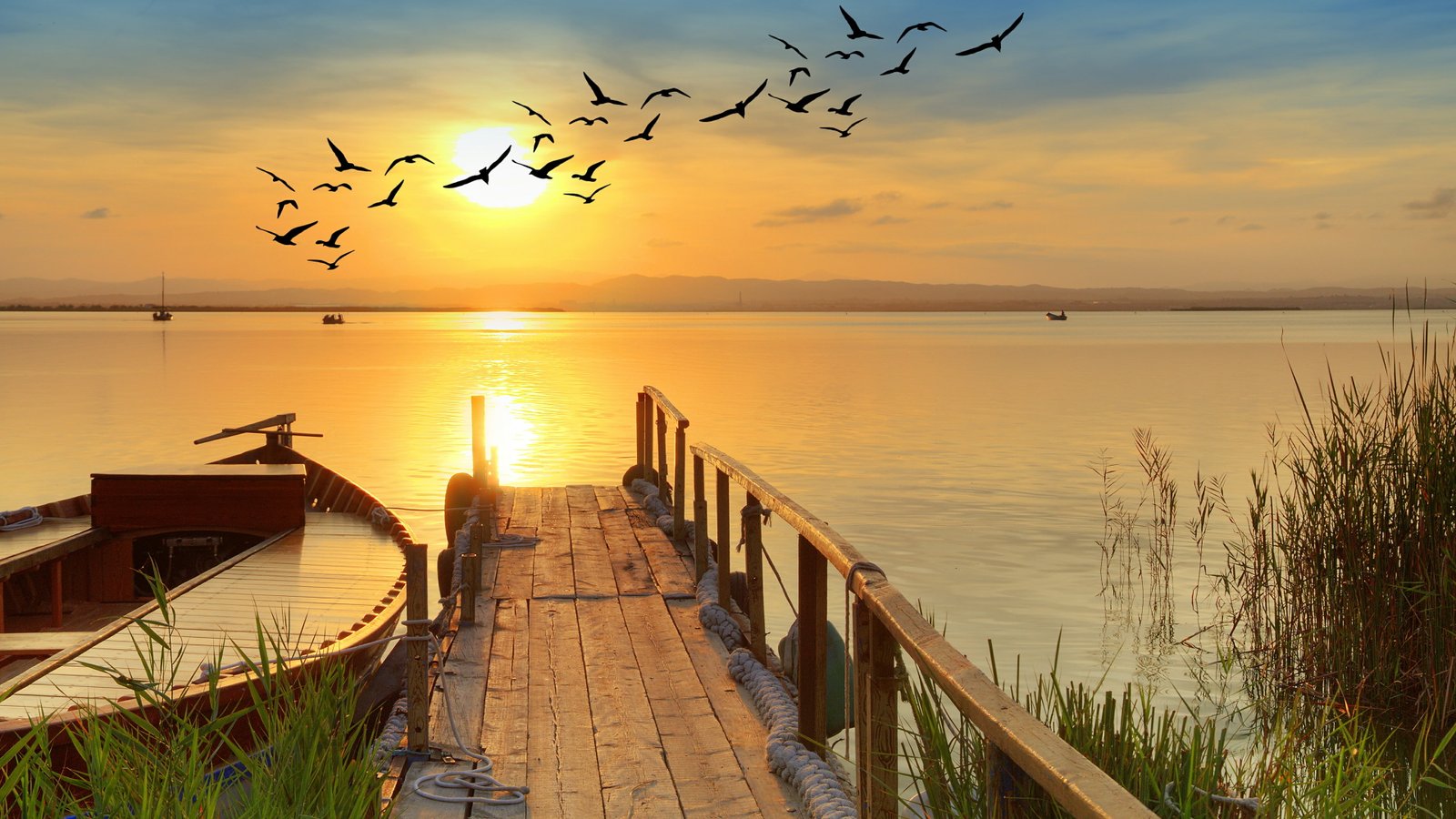 lake stunning amazing boat reeds reflection nature birds 2k 4k