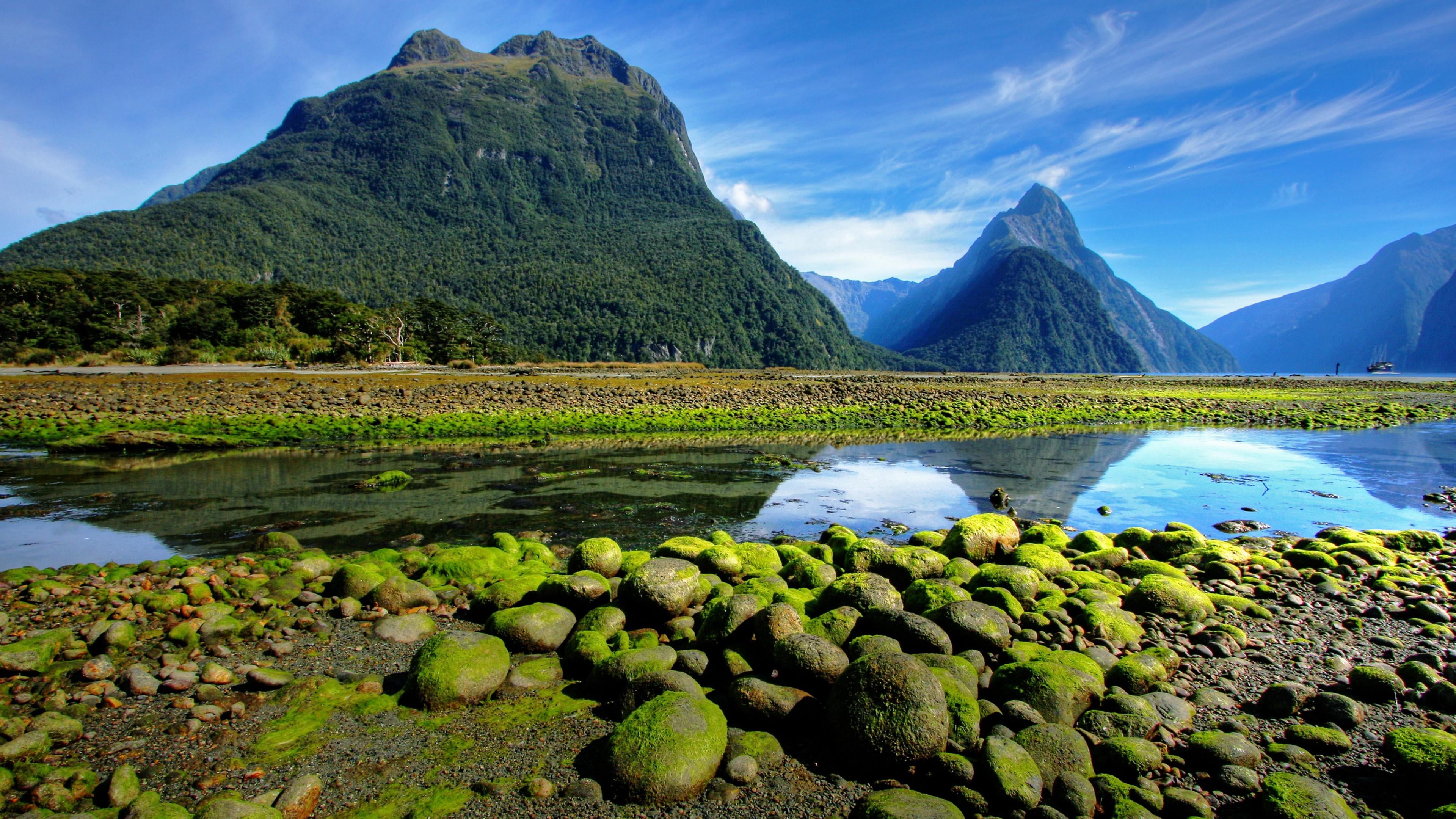 mossy milford sound bank stone landscape fjord national park 2k 4k