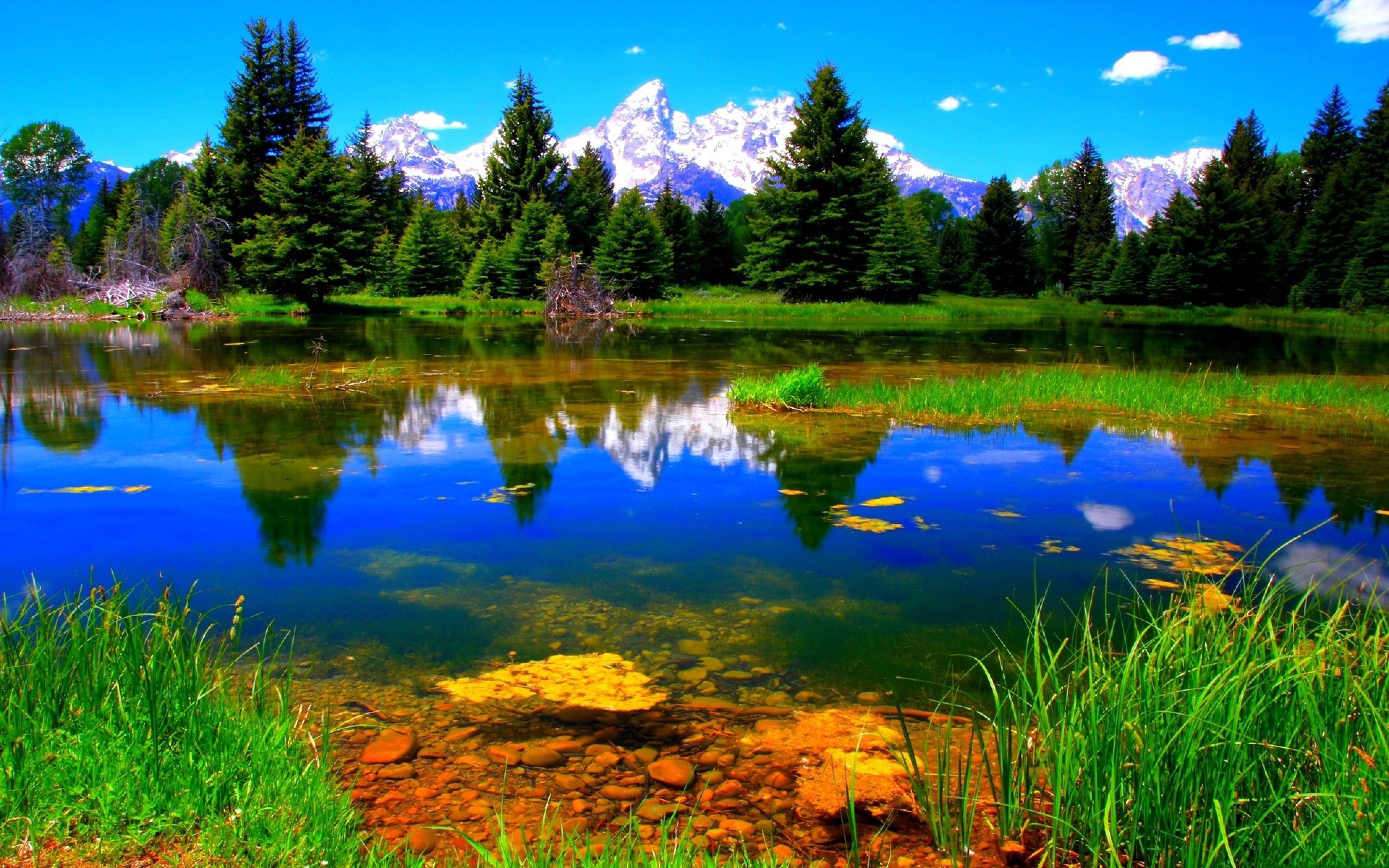 Nature Landscape Lake Green Vegetation Wallpapers Hd 2k 4k