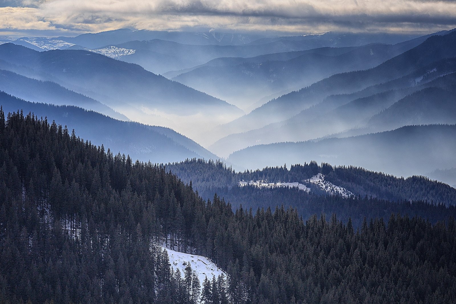 nature landscape morning mist Romania mountains forest 2k